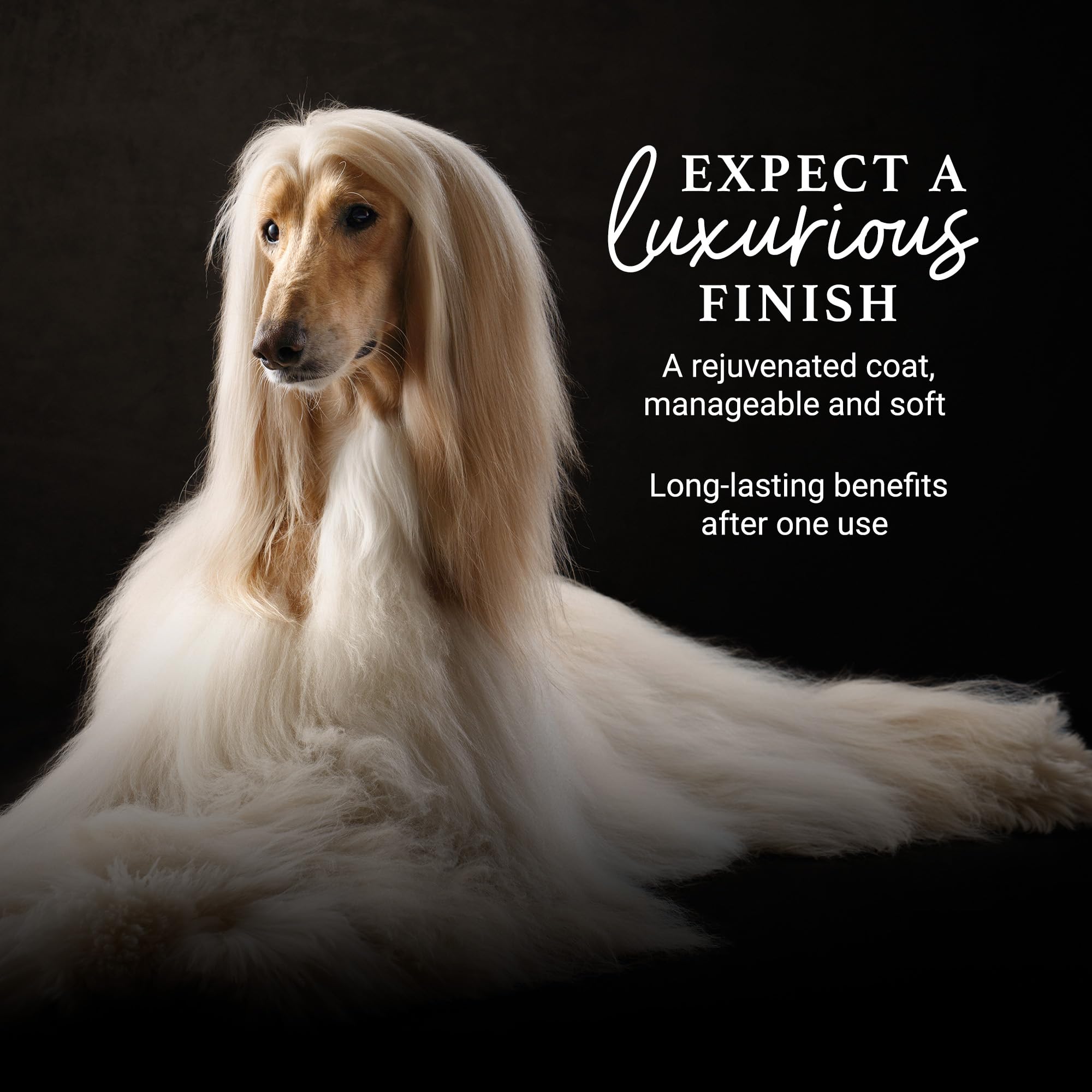 iGroom Deshedding & Detangling Dog Conditioner, Luxury Pet Beauty Care, Loosen Tangles + Unwanted Undercoat, Adds Shine + Volume