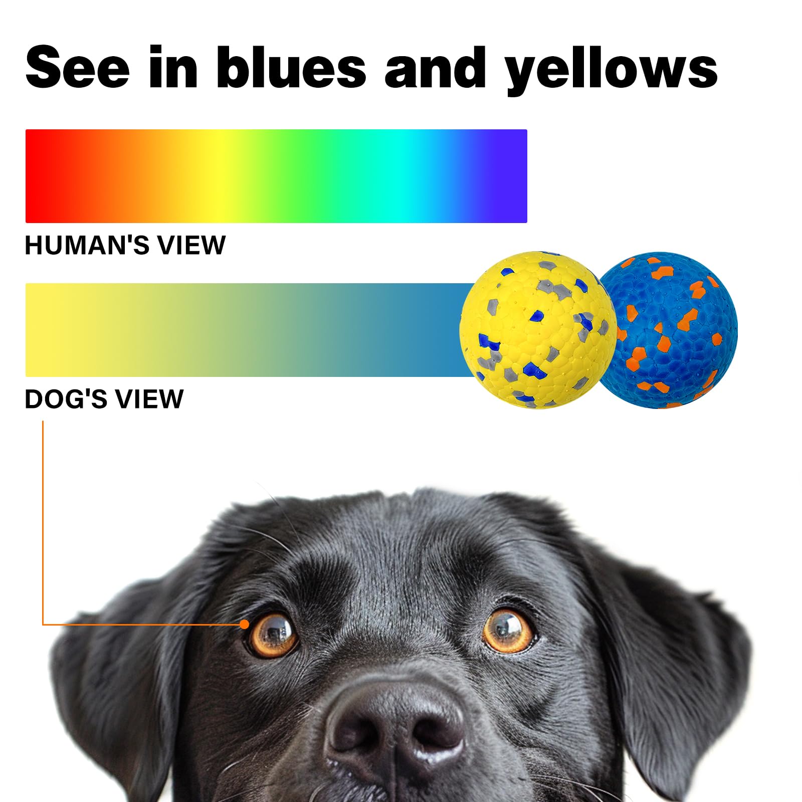 Lepawit Dog Balls for Aggressive Chewers, Floating Toy for Water Fetch, Bouncy Indestructible Teething Chew and Tennis Balls for