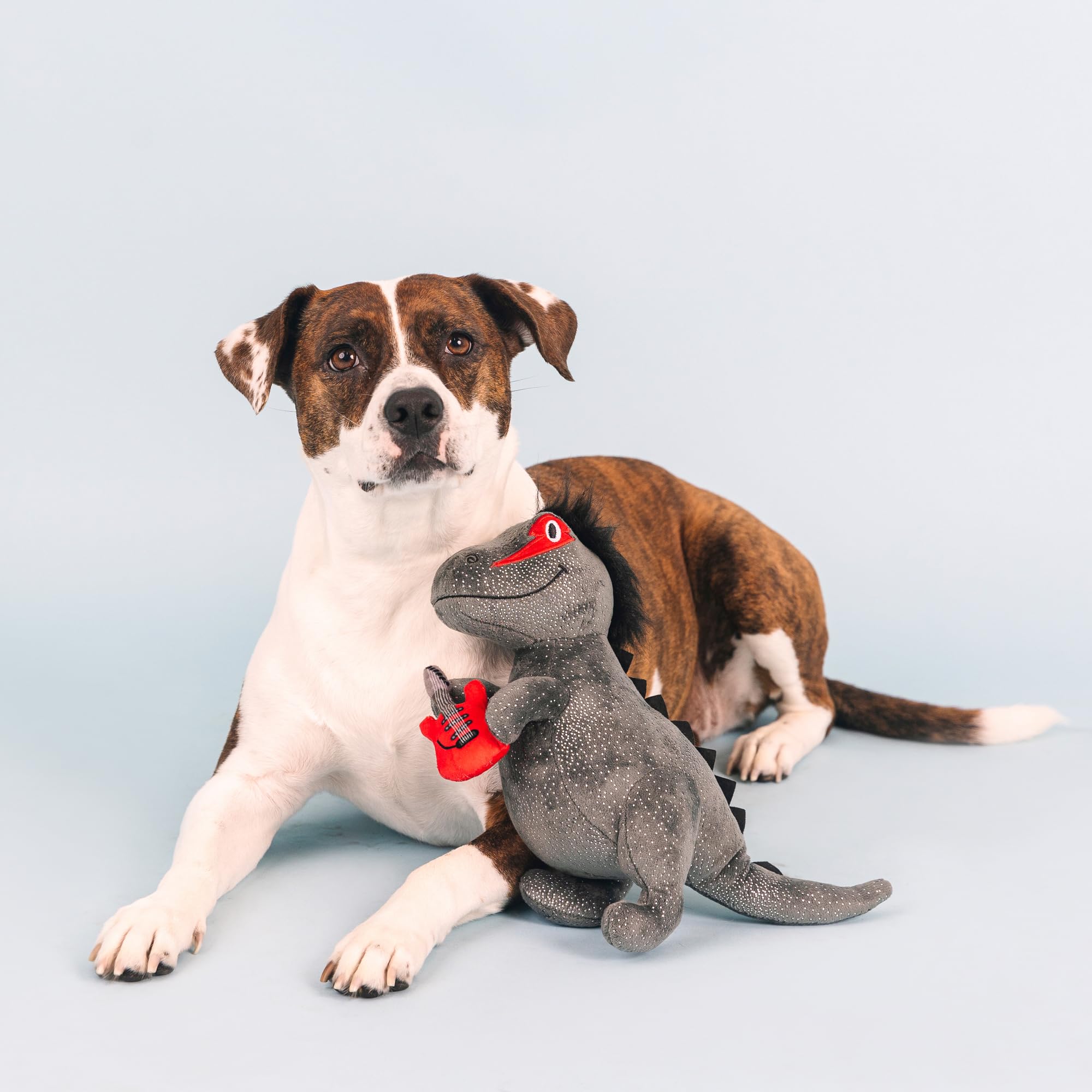 Fringe Studio Plush Dog Toy, Rocker Rex, Pet Shop Collection (314214)