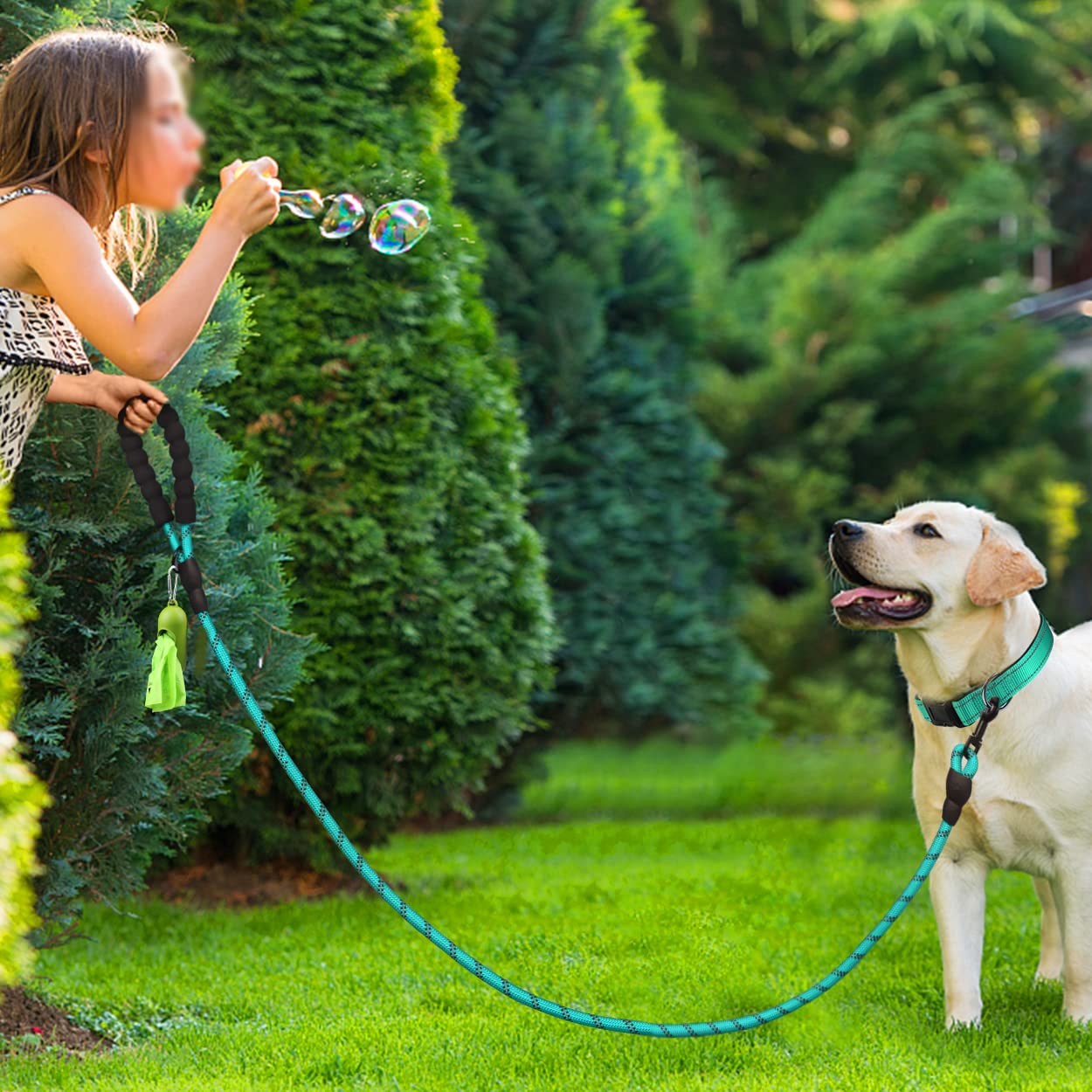 Dynmeow Reflective Dog Collar and Leash Set, 6FT Strong Climbing Rope Leash with Padded Handle, Adjustable Pet Collar with Soft