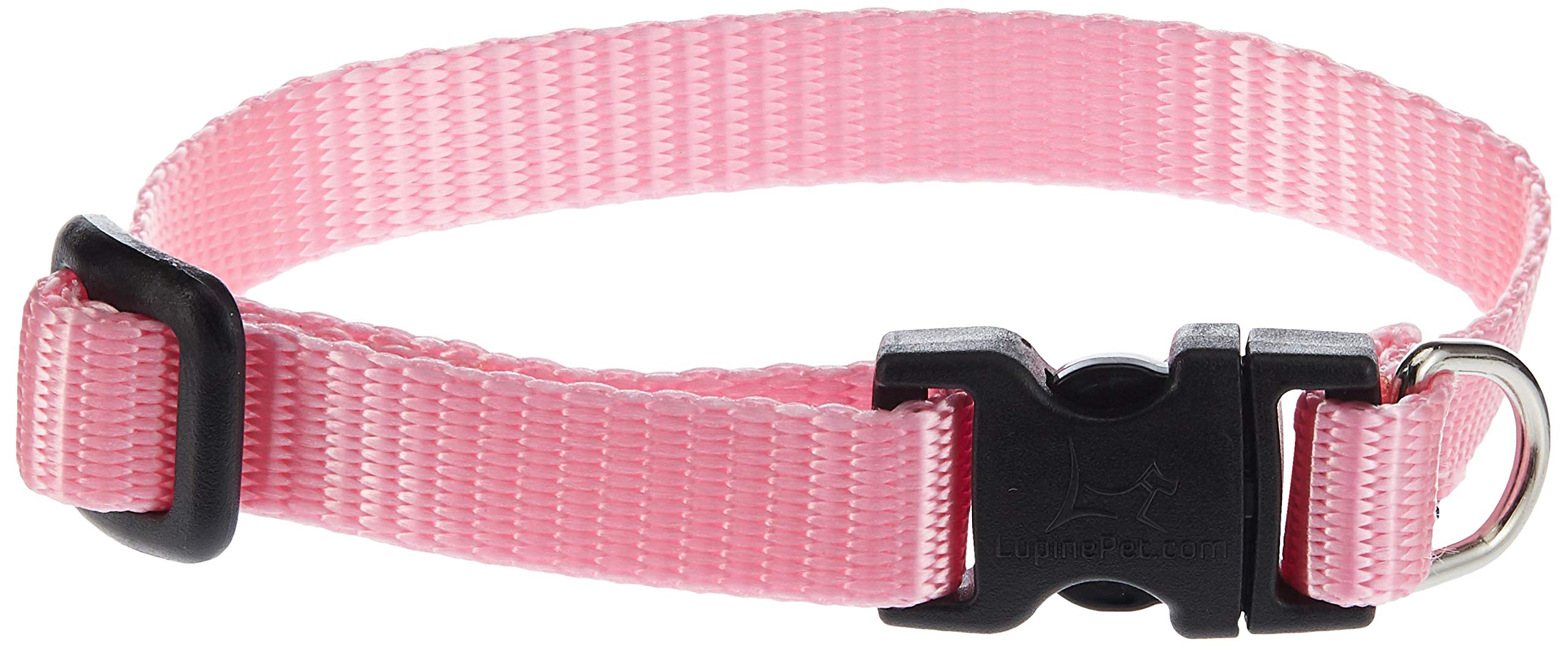Lupinepet Basics 1/2' Pink Adjustable Dog Collar 8-12' For Small Dogs