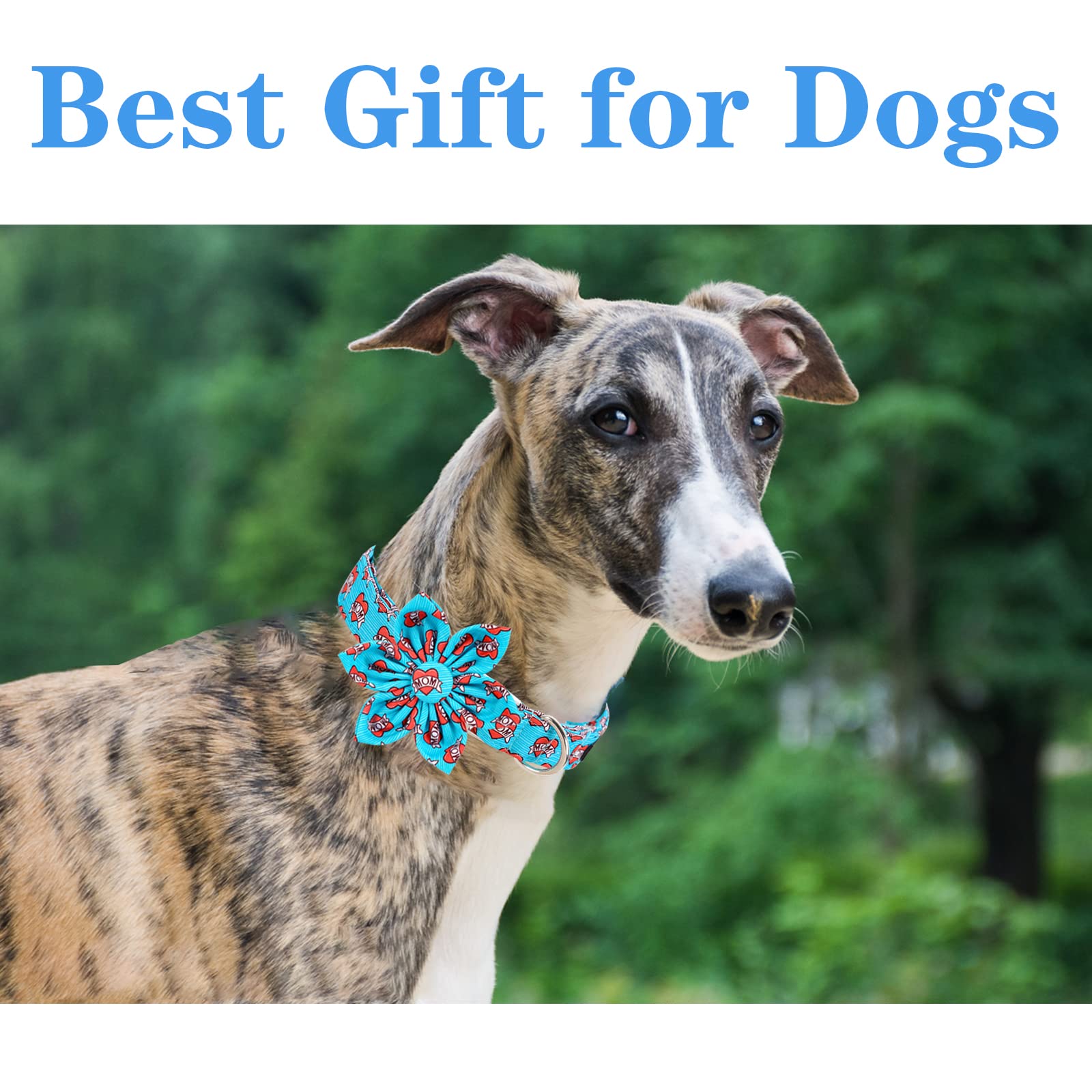 Unique Style Paws Mother'S Day Dog Collar With Flower Tie Blue Heart Puppy Collar Best Gift For Small Medium Large Boys Girls-Xs