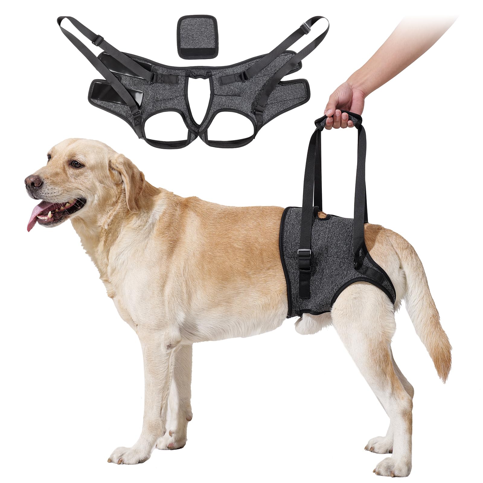 HEYWEAN Dog Sling for Large Dogs Hind Leg Support Harness Ideal for Elderly Injured Arthritic Dogs Provides Rehabilitation Aid f