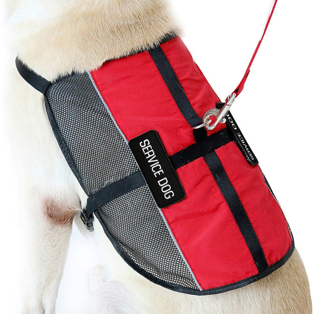 Plutus Pet Service Dog Vest With 2 Removable Patches, Light Weight And Breathable Mesh Service Animal Harness,Perfect For Summer And Hot Days,Red,Xl,Girth 31.5-39'