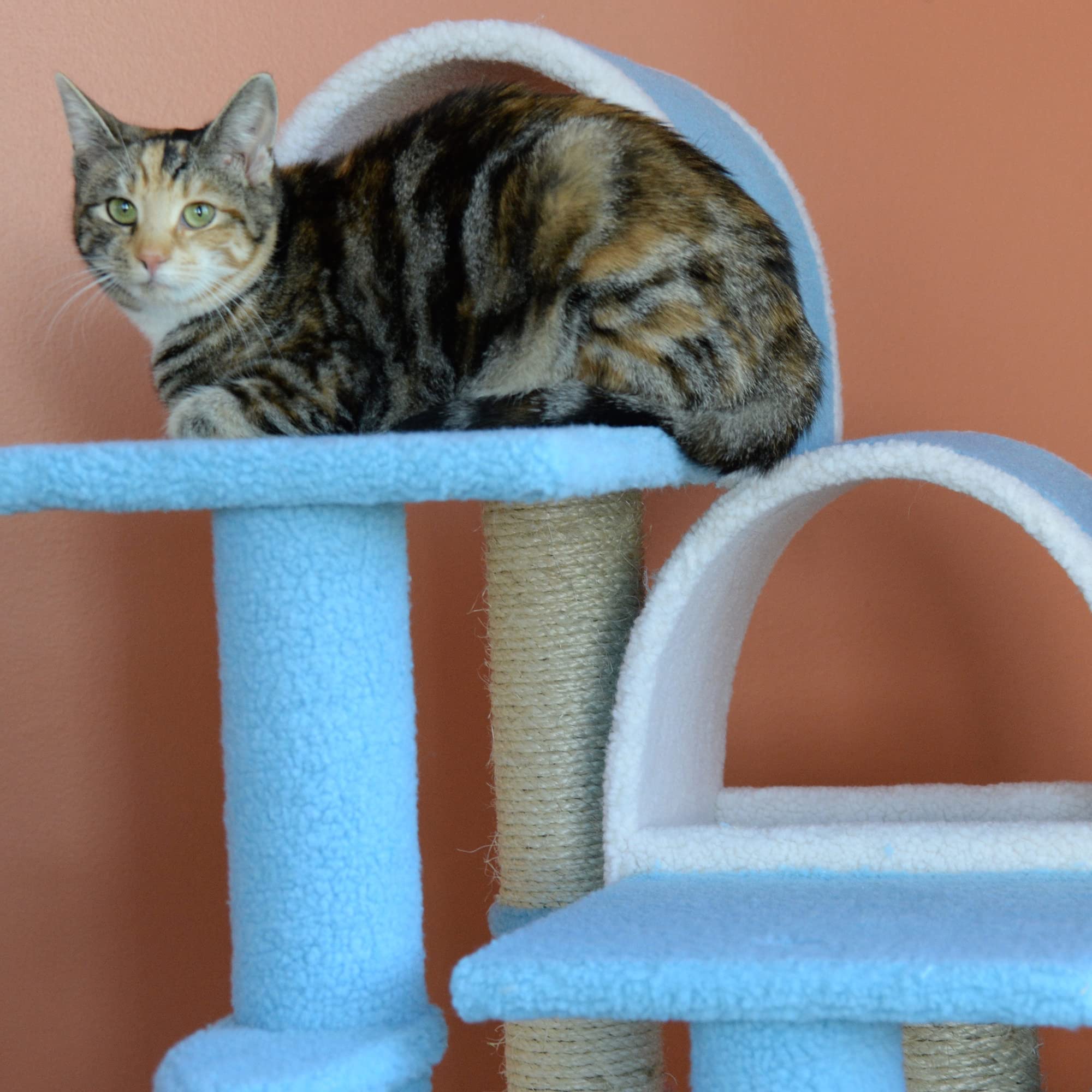 Classic Cat Tree B3803