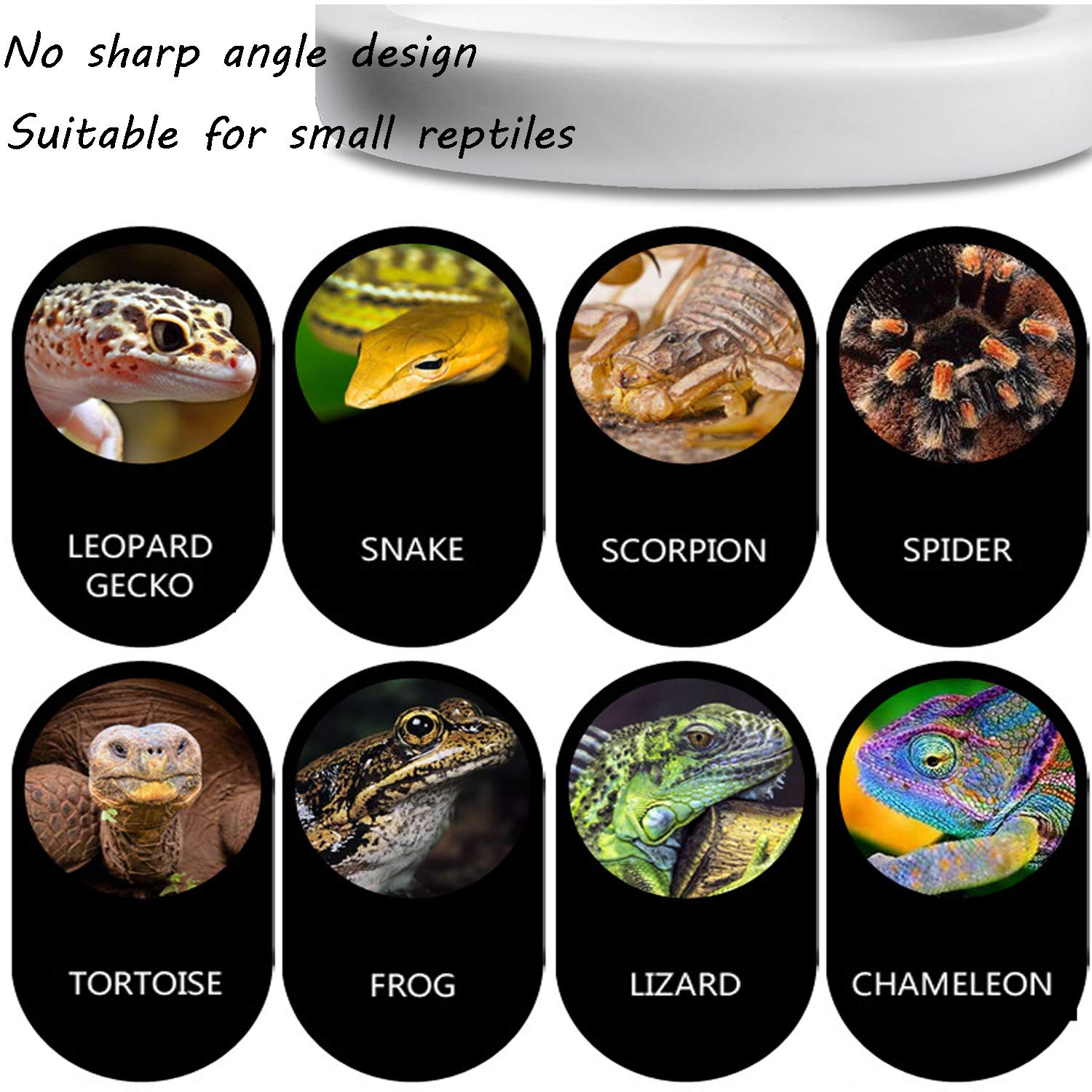 Fuongee Reptile Worm Feeding Dish Bowls Gecko Lizard Feeder Dish With Feeding Tong, 2 Bowls And 1 Feeding Tong, Ceramic Mini Siz