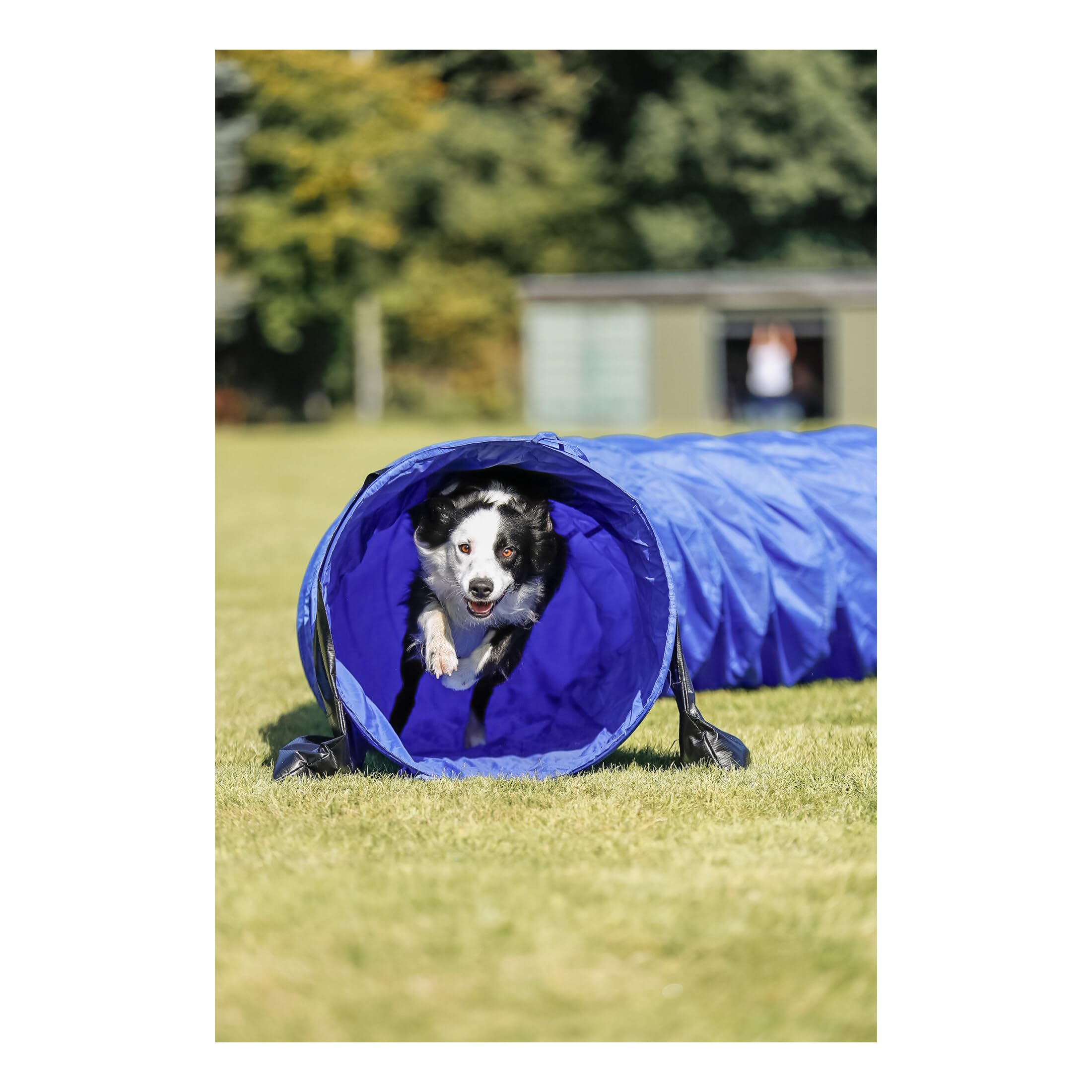 TRIXIE Dog Agility Tunnel - Portable 196.9" Long, 23.6" Diameter, Blue Polyester Training Equipment for Large Dogs, Model 3211