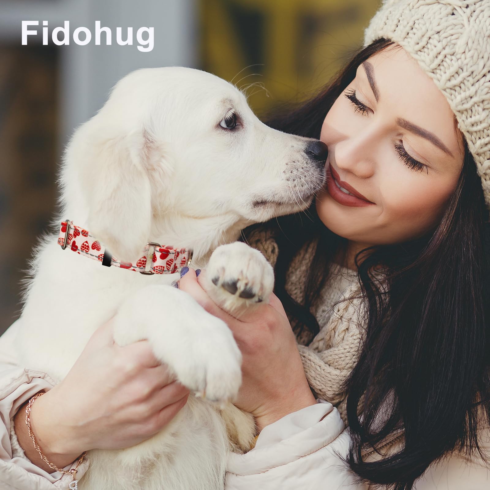 Fidohug Valentines Reflective Martingale Collar For Dogs With Quick Release Buckle Cute Girl No Pull Dog Collars (Red Heart, Med