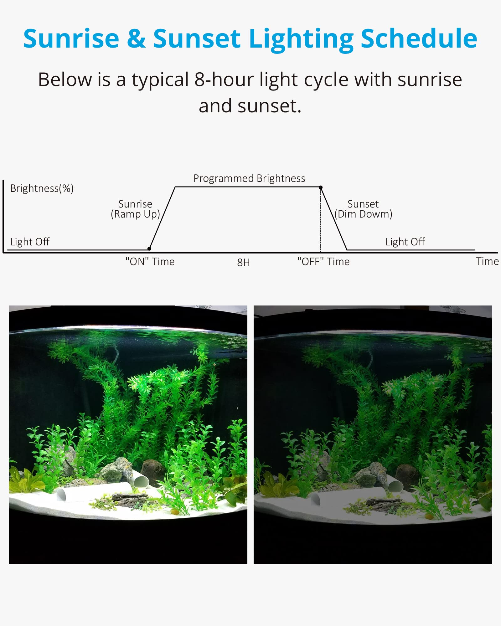 Nicrew Aquarium Light Timer&Dimmer, Easy To Program Fish Tank Light Controller