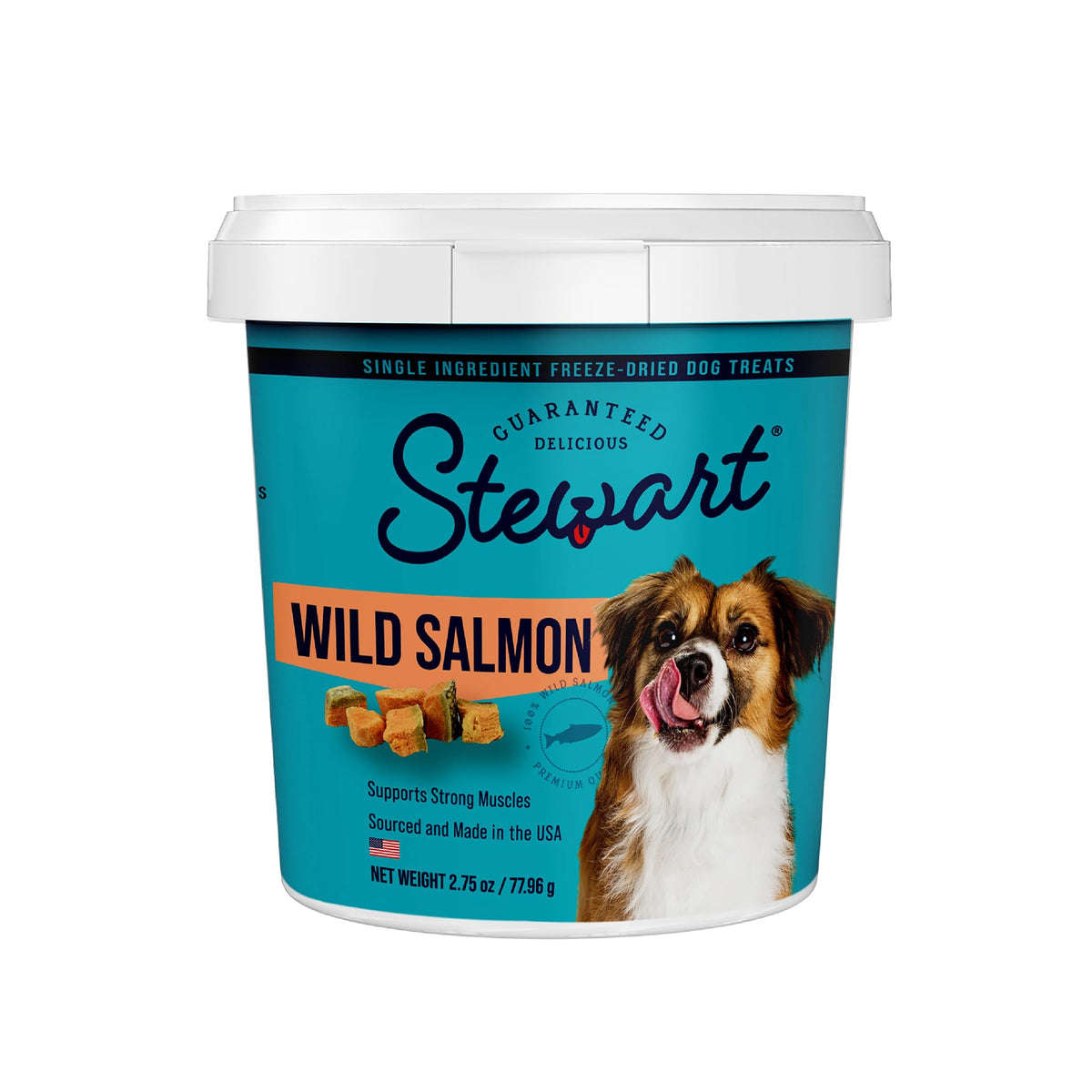 Stewart Single Ingredient Freeze Dried Raw Dog Treats, Wild Salmon, 2.75 Ounce Resealable Tub, Training Treats Or Meal Topper For All Size Dogs, High Protein, Grain-Free, Gluten-Free