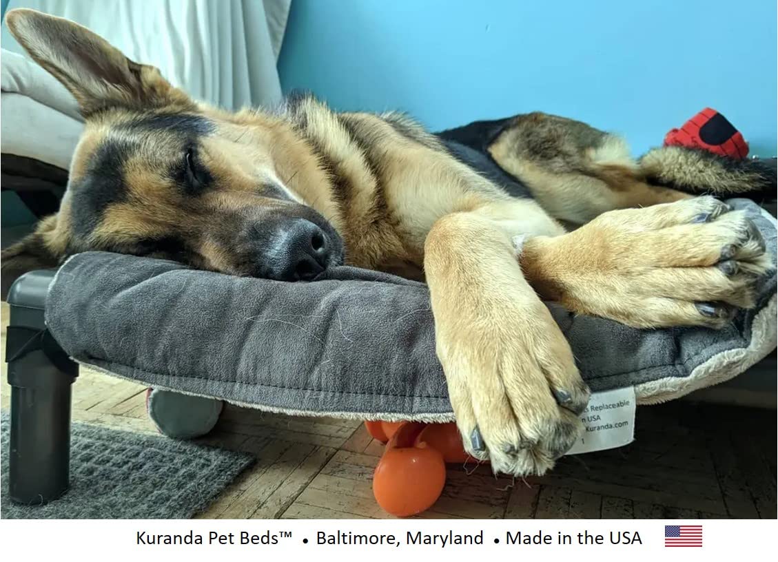 Kuranda Pillow Pad - Toy - 25' X 18' - Smoke