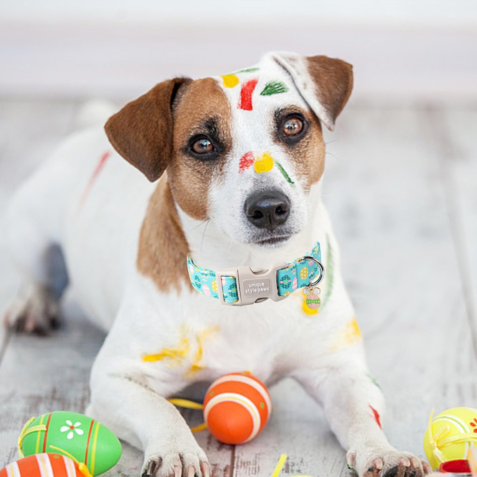 Unique Style Paws Easter Dog Collar,Blue Egg Dog Collar Cotton Easter Puppy Collar Egg Dog Collar With Quick Release Buckle Adju