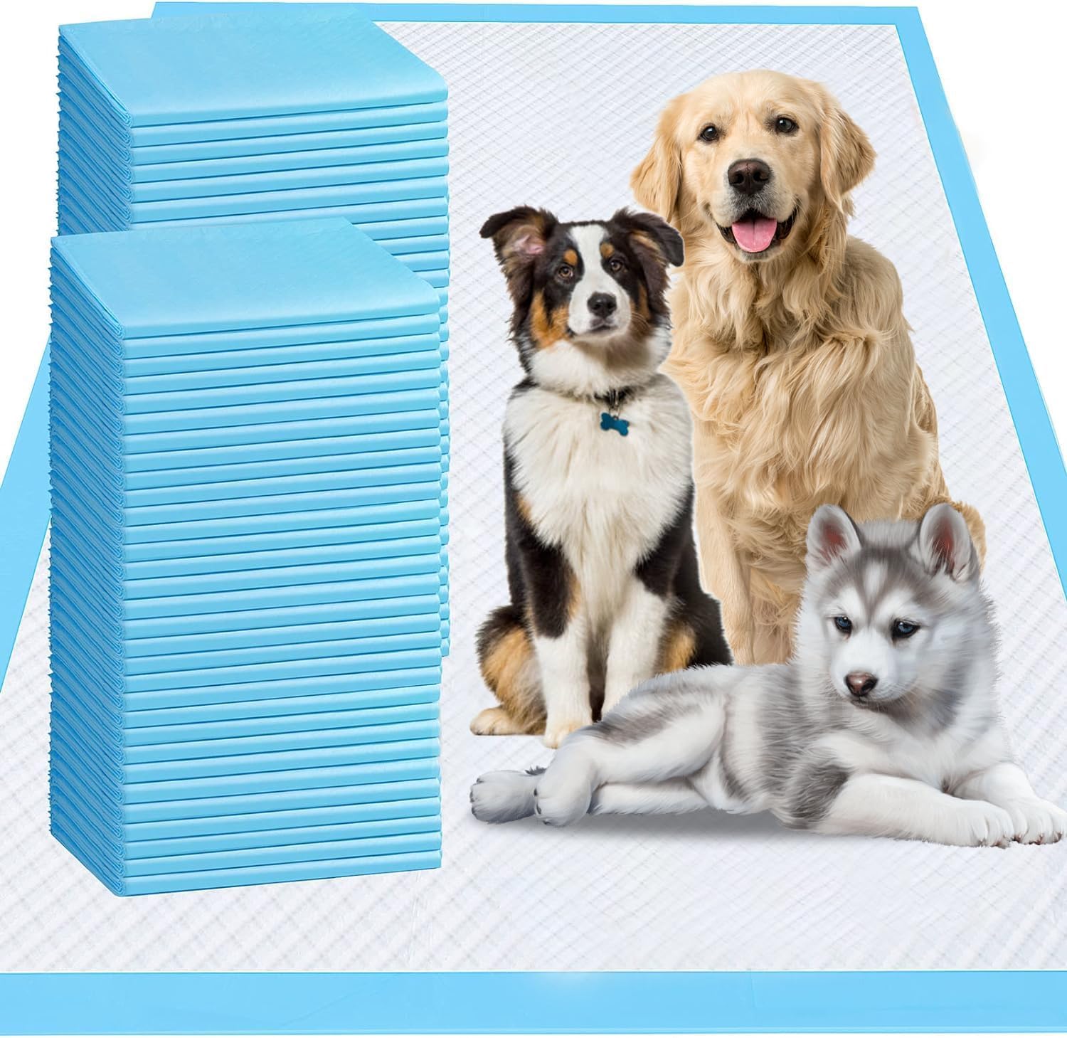 Extra Large Dog Pee Pads, 60 Pads 31 x36  Disposable Training Pads, Puppy Pads with high Absorbency and Leak-Proof Protection fo
