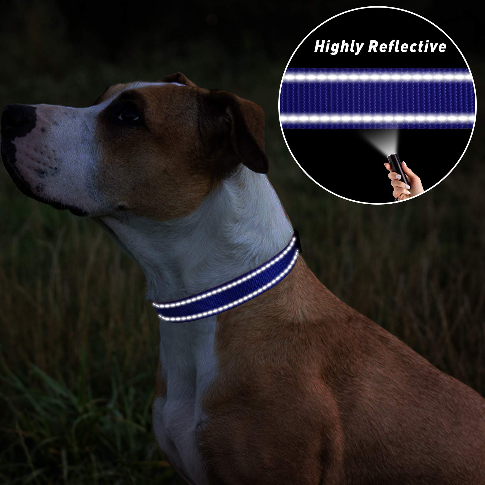 Tagme Reflective Nylon Dog Collars, Adjustable Classic Dog Collar With Quick Release Buckle For Small Dogs, Royal Blue, 5/8' Width