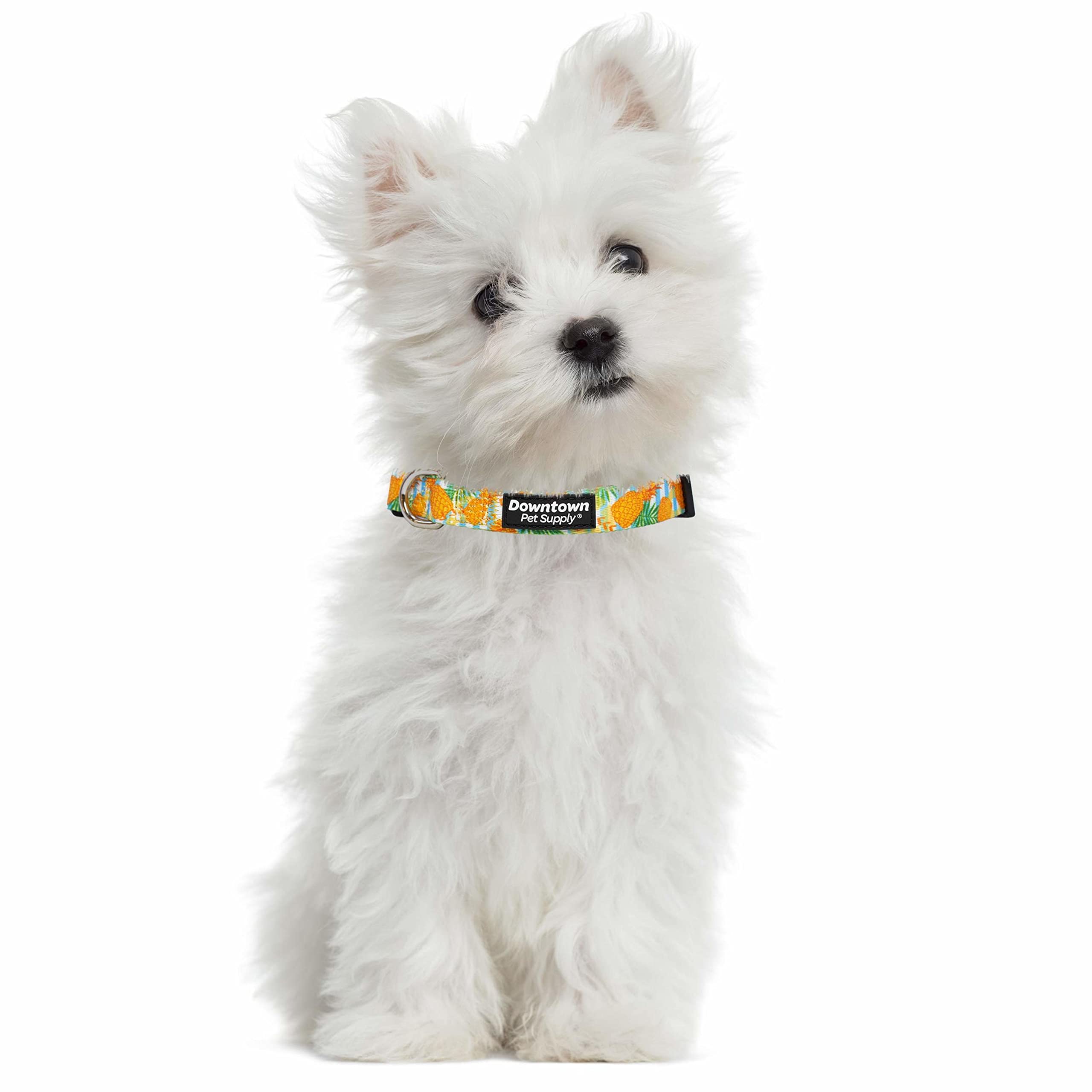 Downtown Pet Supply - Best & Fancy Dog Collar - Lightweight Adjustable With Quick Buckle & D-Ring - Hand Wash Safe - Pineapple -