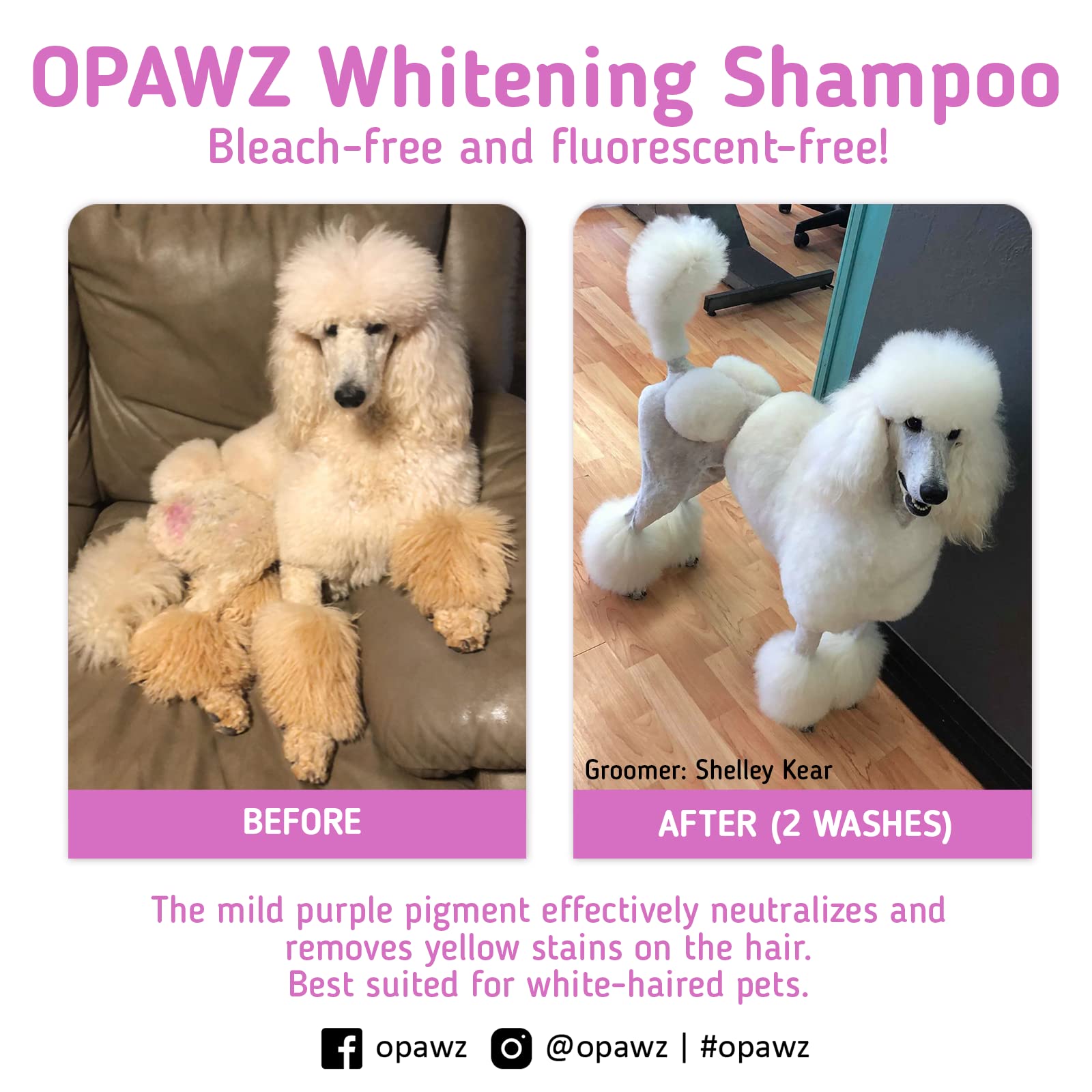 OPAWZ Whitening Purple Shampoo for Dogs and Cats, 16.9 oz - Safely Removes Yellow Stains, No Bleach, Peroxide or Sulfate