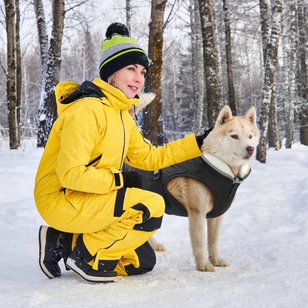 Emust Winter Dog Coat, Waterproof Snow Jacket, Adjustable Small/Medium/Large, Black