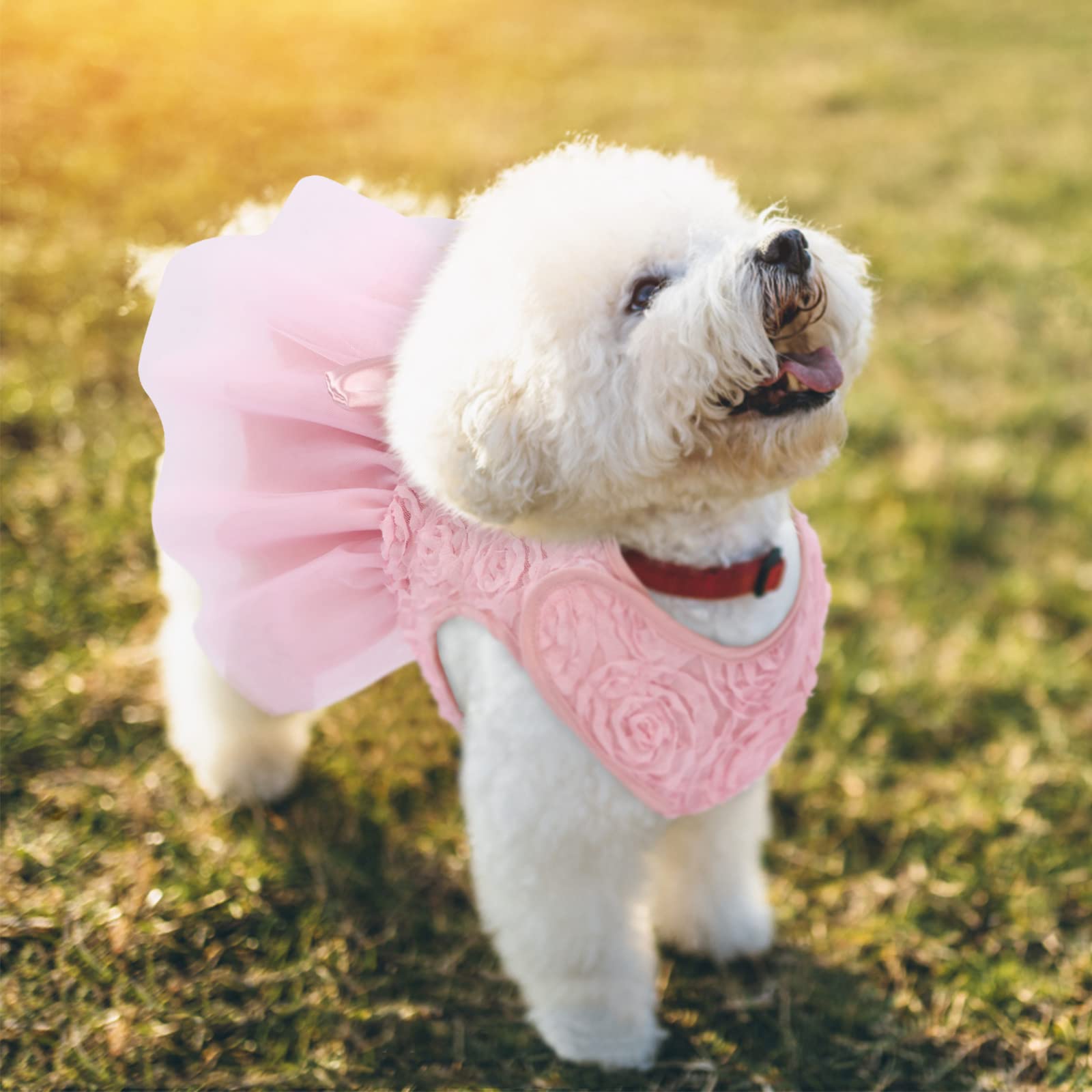Asenku Dog Dress Pet Wedding Dress Princess Lace Puppy Birthday Party Outfit Formal Apparel Girl For Small Medium Dogs Cats (Xx-