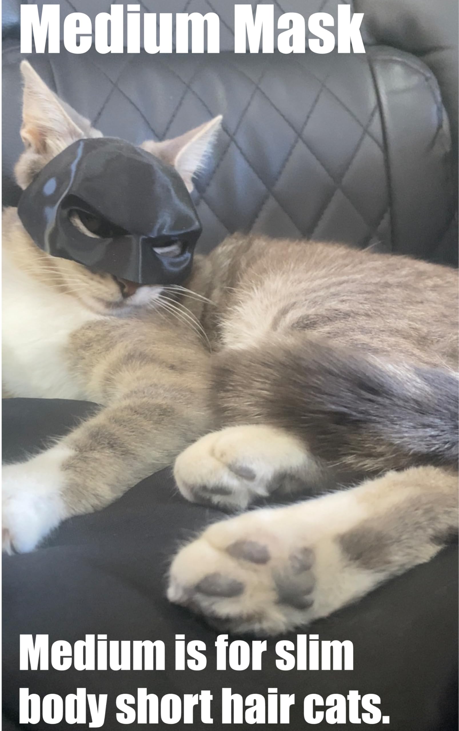 Cat Bat Cosplay Hat - Made In Usa (Medium)