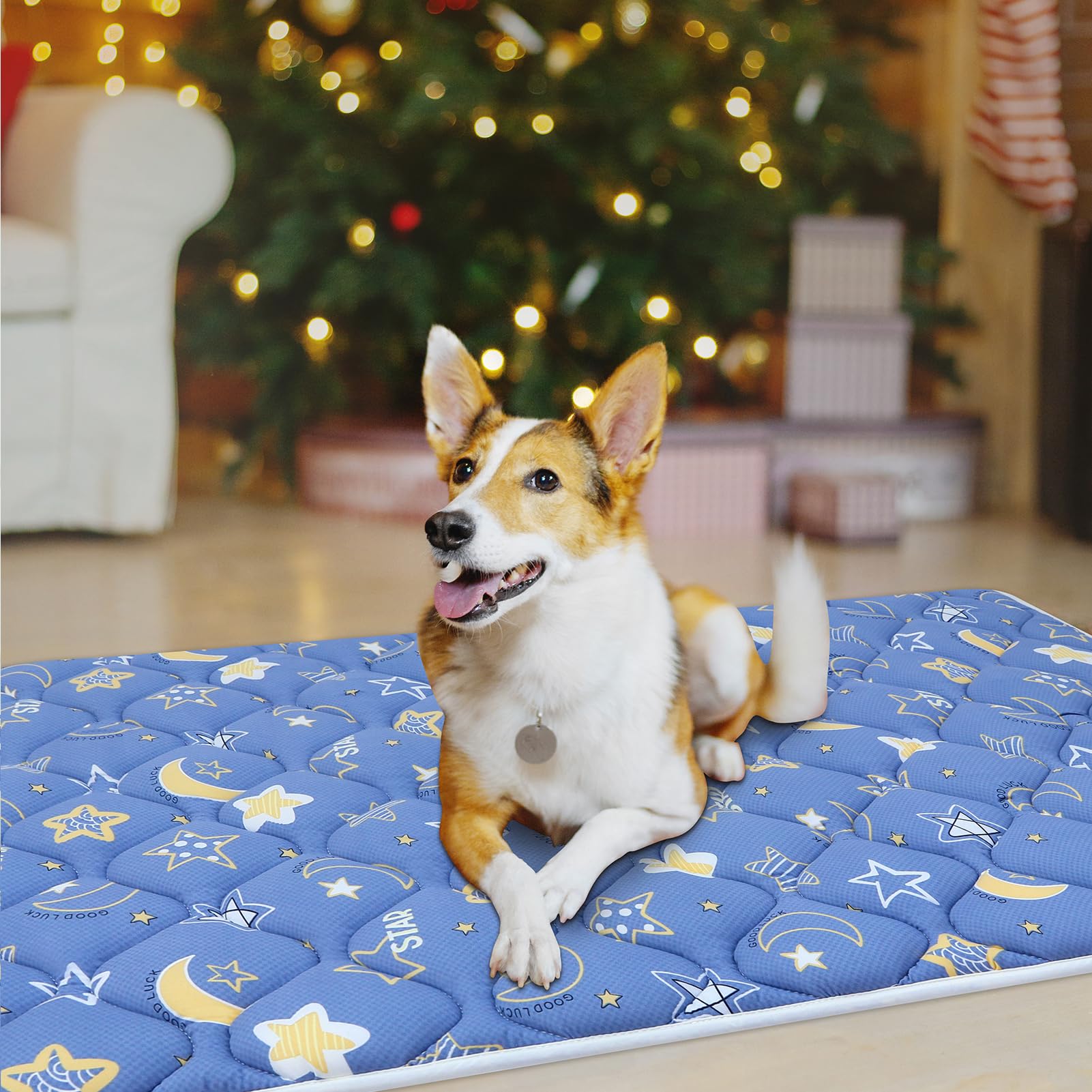 Dog Crate Mat, Ultra Soft Dog Bed Mat for Sleeping with Anti-Slip Bottom, Washable Dog Mat Kennel Pad for Large Medium Small Dog