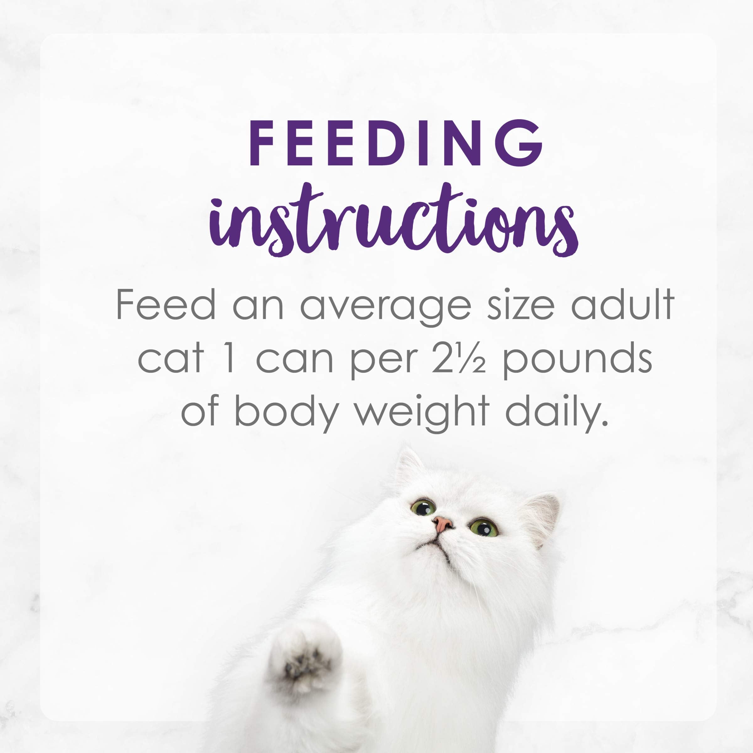 Purina Fancy Feast Delights With Cheddar Grilled Turkey and Cheddar Cheese Feast in Wet Cat Food Gravy Cat Food - (Pack of 24) 3