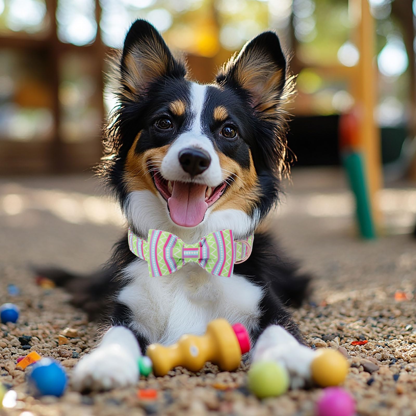 Babole Pet Easter Dog Collar With Bow Tie - Geometry Easter Bowtie Dog Collar Adjustable Heavy Duty Spring Easter Dog Collars Fo