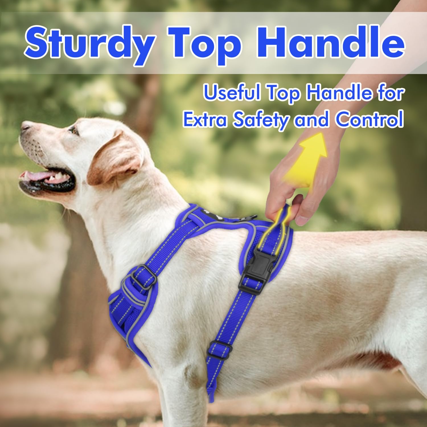 Joytale Step-In No Pull Dog Harness For Small Dogs With 2 Leash Clips, Reflective Pet Vest With Easy Control Handle, Adjustable