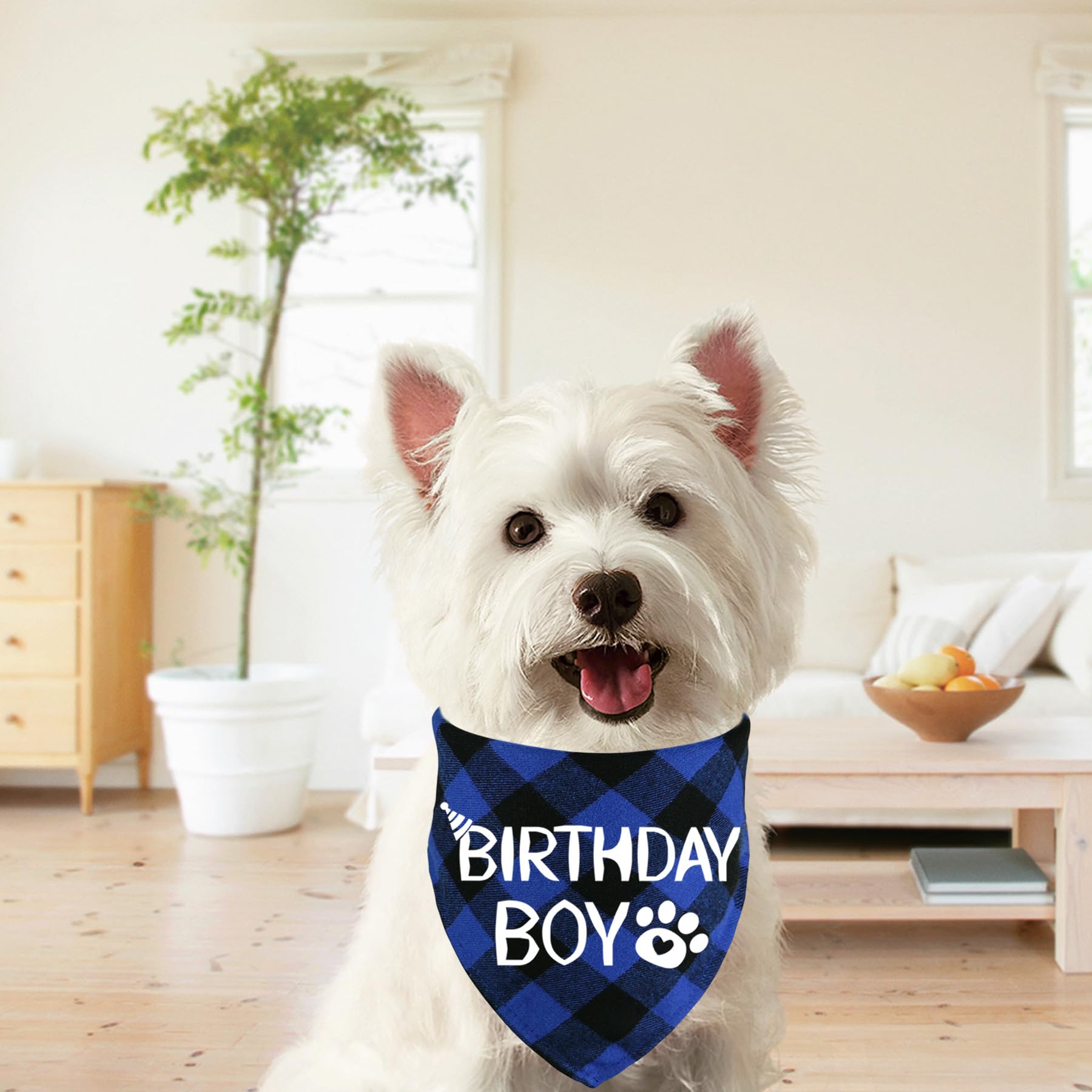 Stmk Dog Birthday Bandana, Multi Sizes Dog Birthday Boy Bandana For Small Medium Large Dogs Pets (Small, Blue)