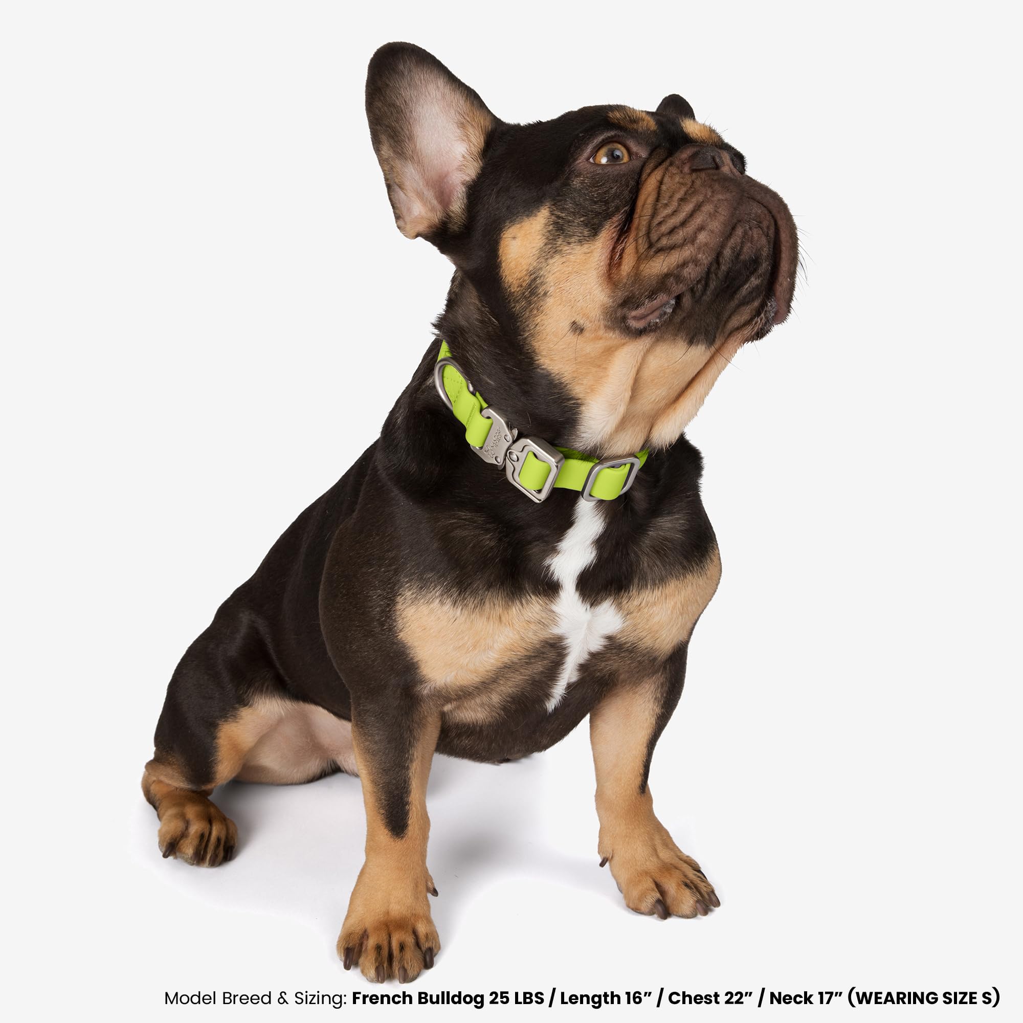 Nandog The Signature Collection Waterproof Poly-Flex Sport Dog Collar In Medium, Neon Green - Durable & Adjustable Design - Comf