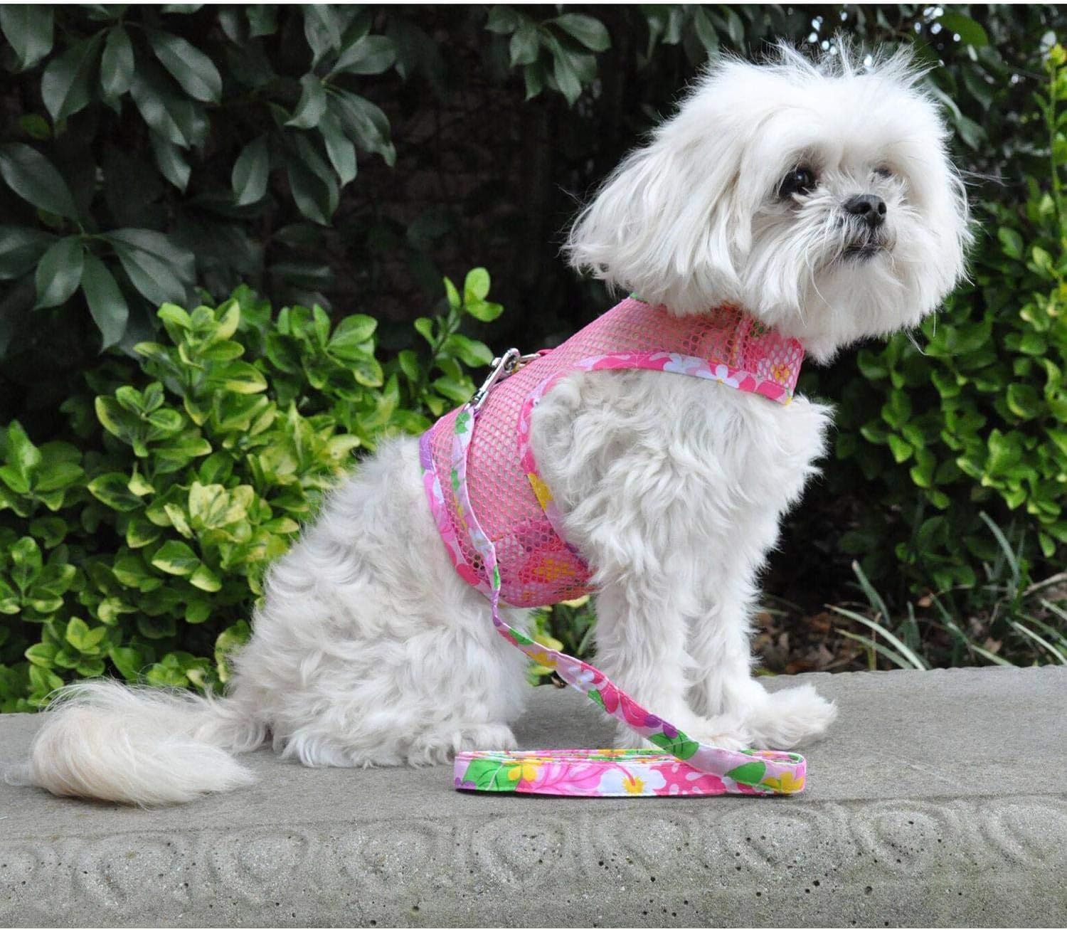 Doggie Design Dog Harness - No Choke Harness For Pets, Dog Vest, Mesh Polyester, Simple Step In And Go Design, Reflective Vest F