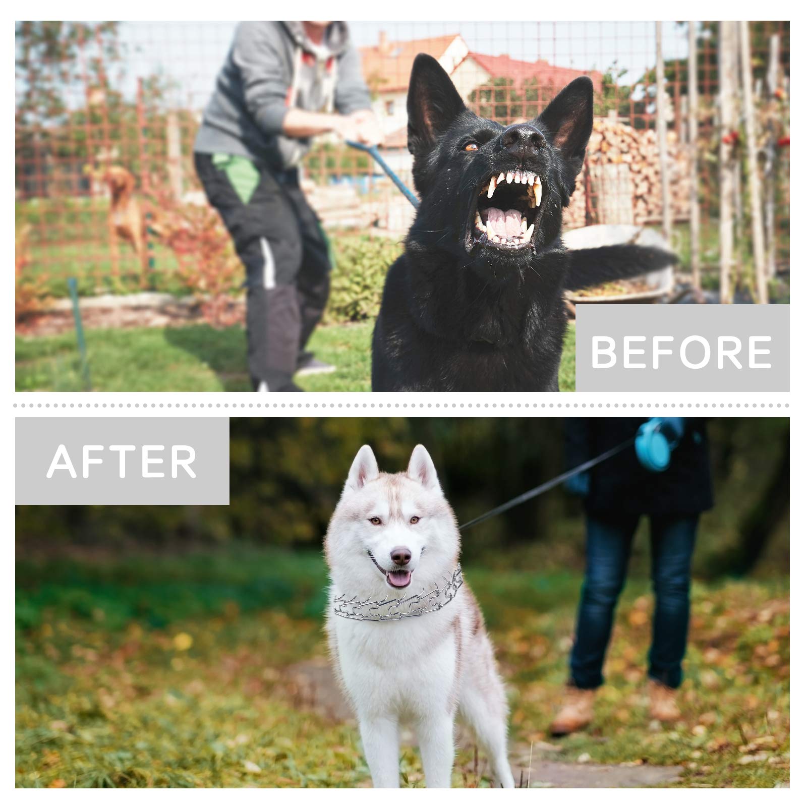Dog Prong Collar, Ultra-Plus Chrome Plated Training Collar With Quick Release Clip For Dogs, Adjustable Pet Pinch Collar With Silver Plating For Small Medium Large Dogs (Xl)