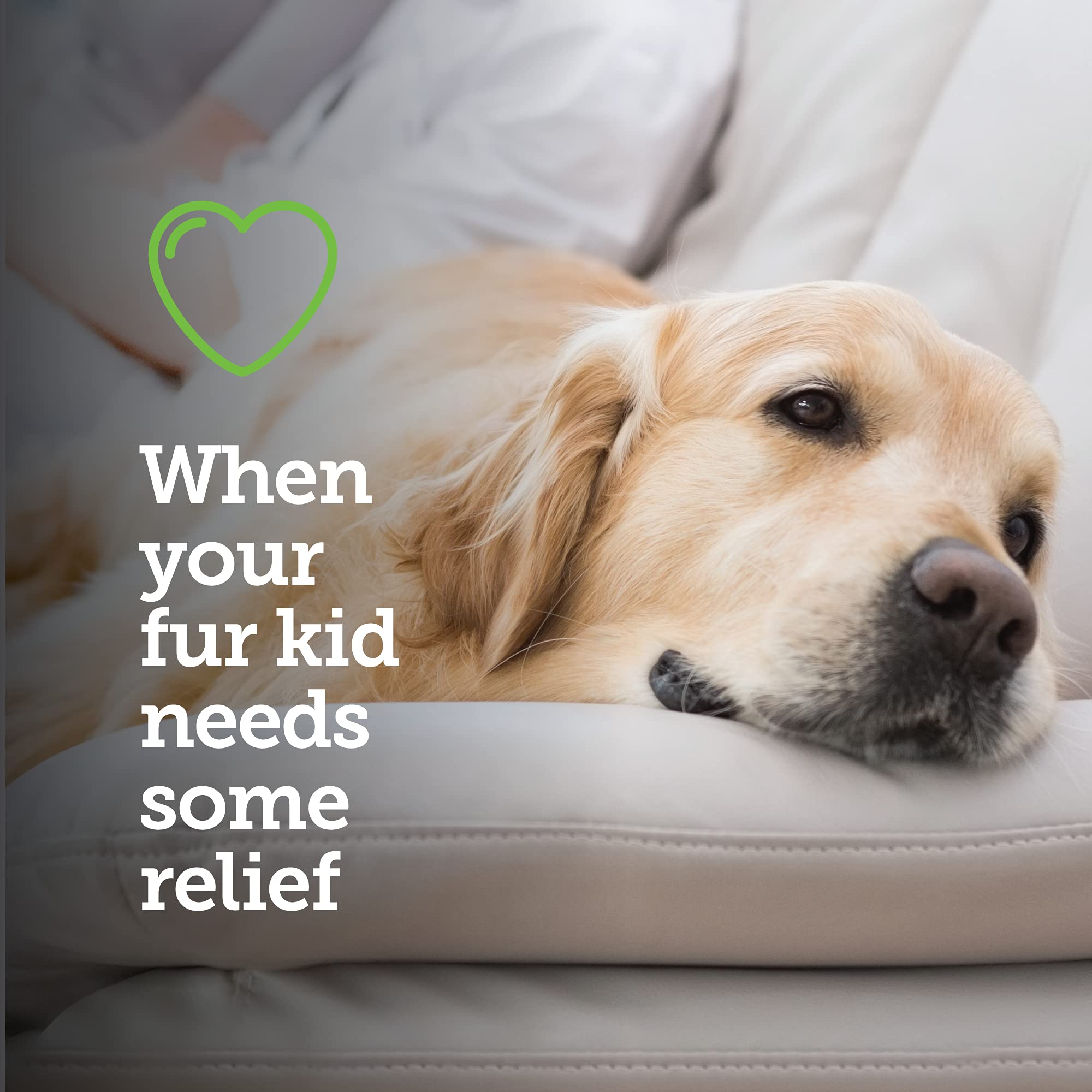 Vetality Canine Aspirin for Dogs | Fast Pain Relief | Large to X-Large Dogs | Liver Flavor | 120 Chewable Tablets