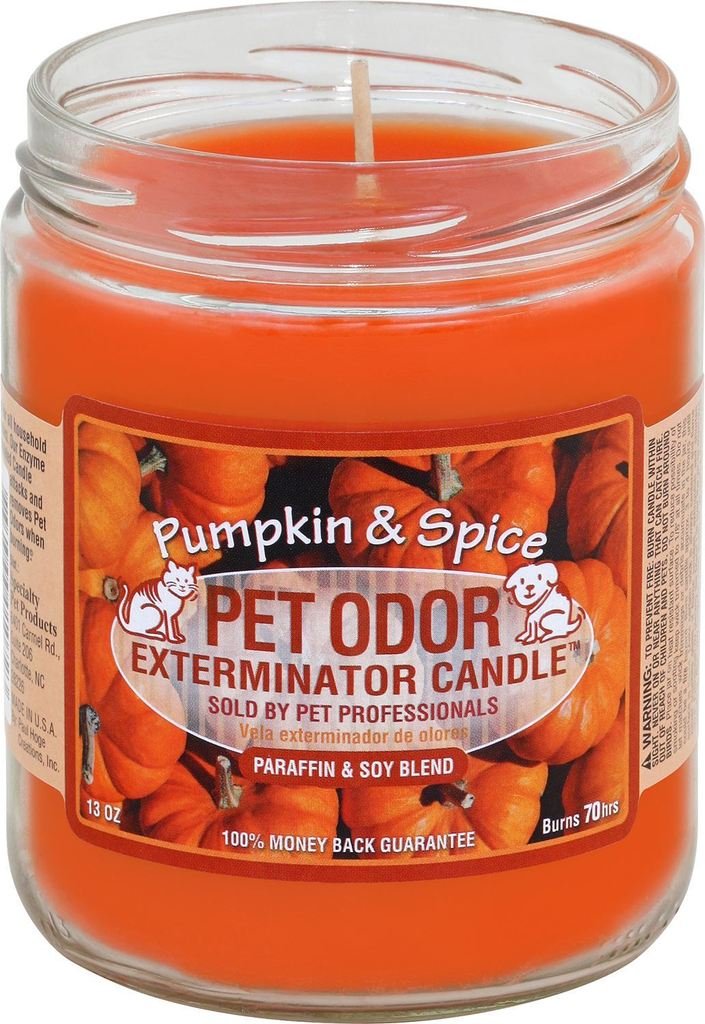 Specialty Pet Products Pet Odor Exterminator Candle Pumpkin & Spice