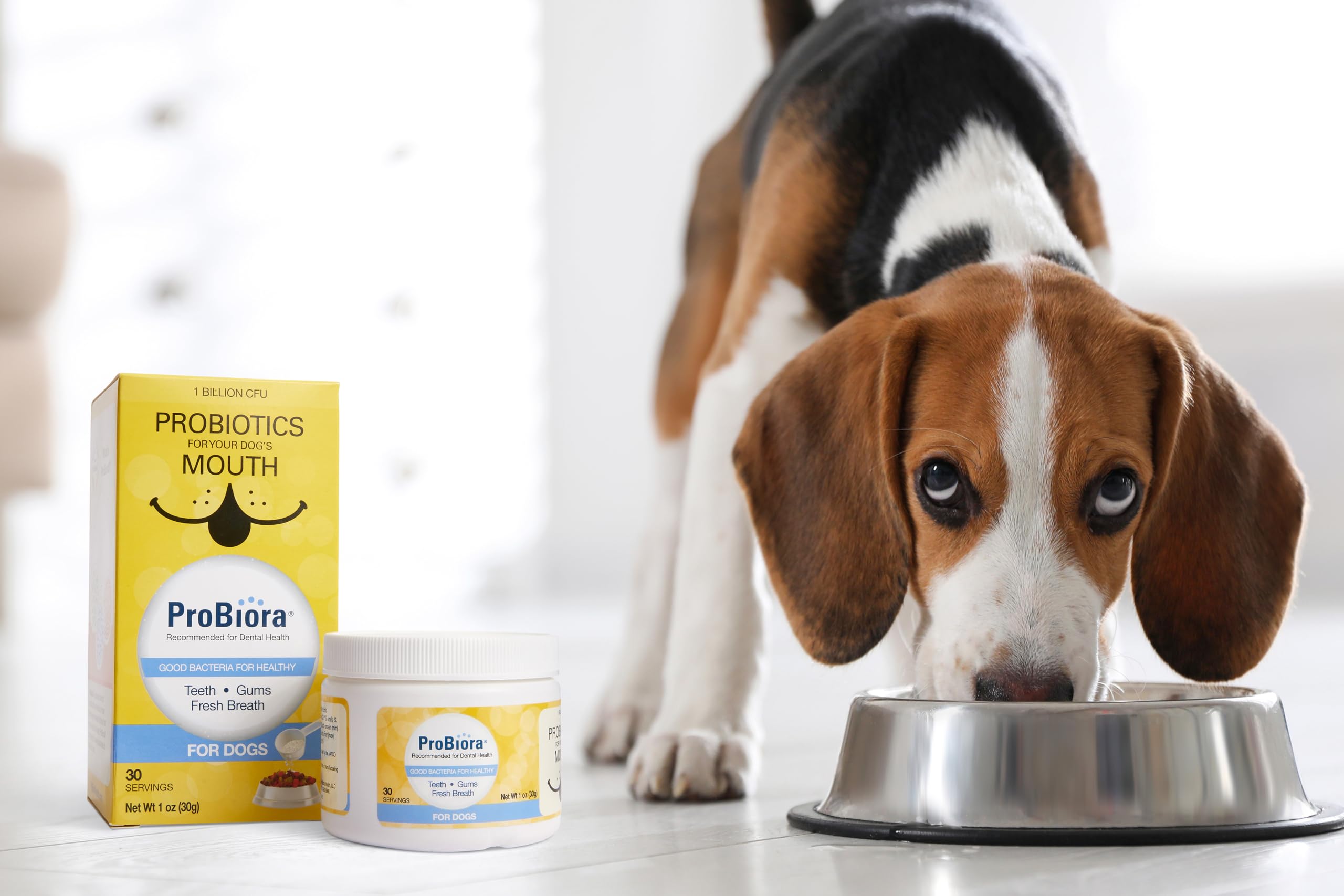 Probiora for Dogs | Dog Probiotic Supplement for Oral Care | Pet Probiotics to Reduce Bad Breath | Dog Nutritional Supplement fo