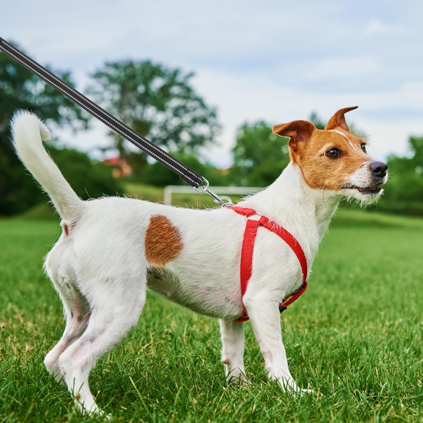 Pupteck Reflective Short Dog Leash - 3 Packs 2.5Ft/ 1.5Ft/ 1Ft Nylon Dog Leash With Strong Clip, And Soft Padded Handle, Durable Training Leash For Small Medium Large Dogs Cats Walking Outside