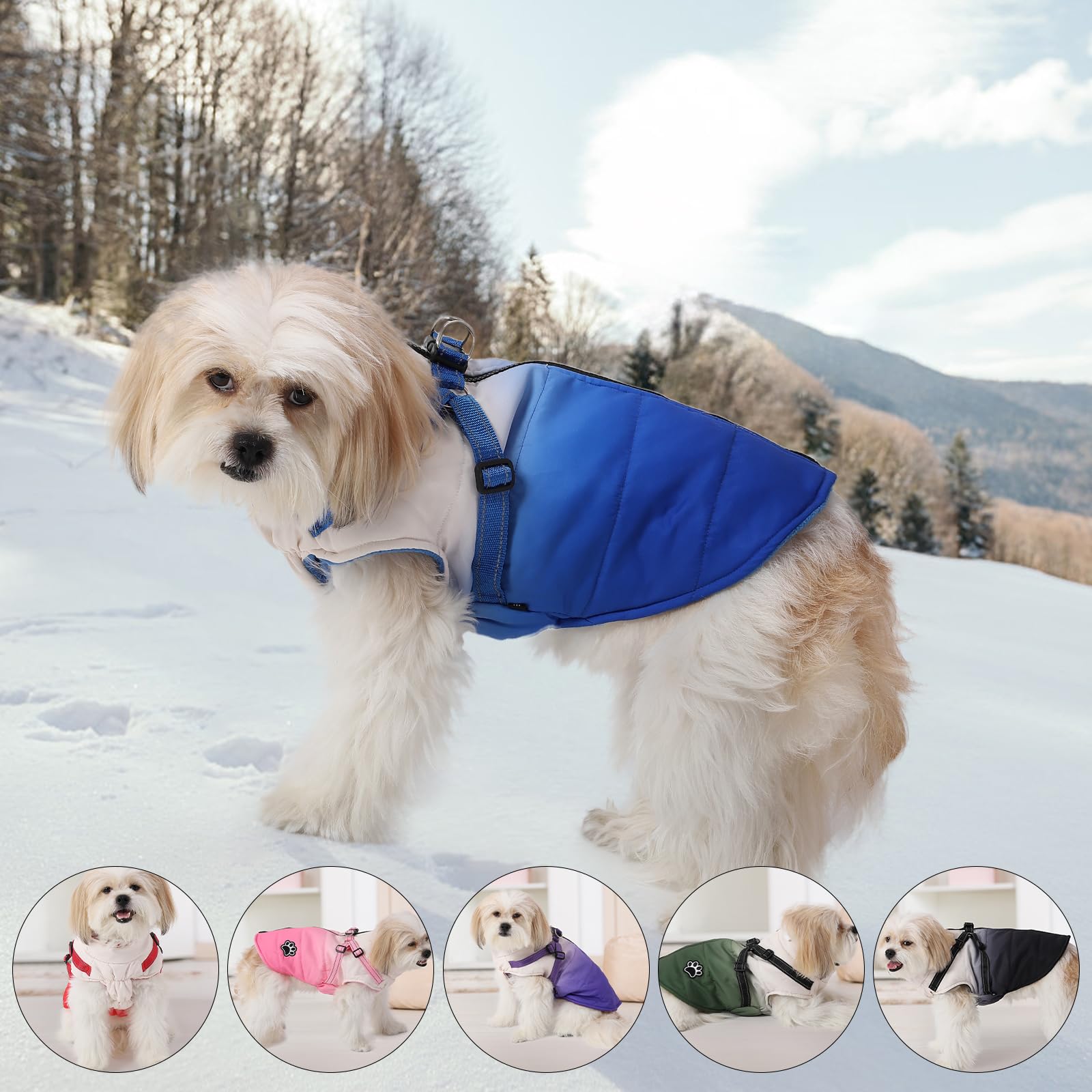 Gyuzh Winter Dog Coat Jacket Vest - Waterproof With Reflective Harness For Small To Large Dogs (X-Small, Red)