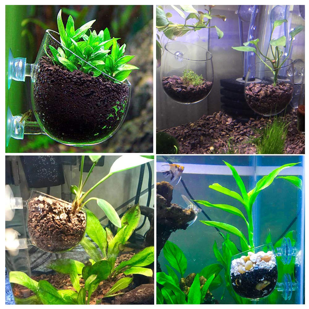 capetsma Aquarium Plant Pot, Glass Fish Tank Plants Holder Aquarium Planter, Aquarium Decoration Plants Cup with 2 Suction Cups
