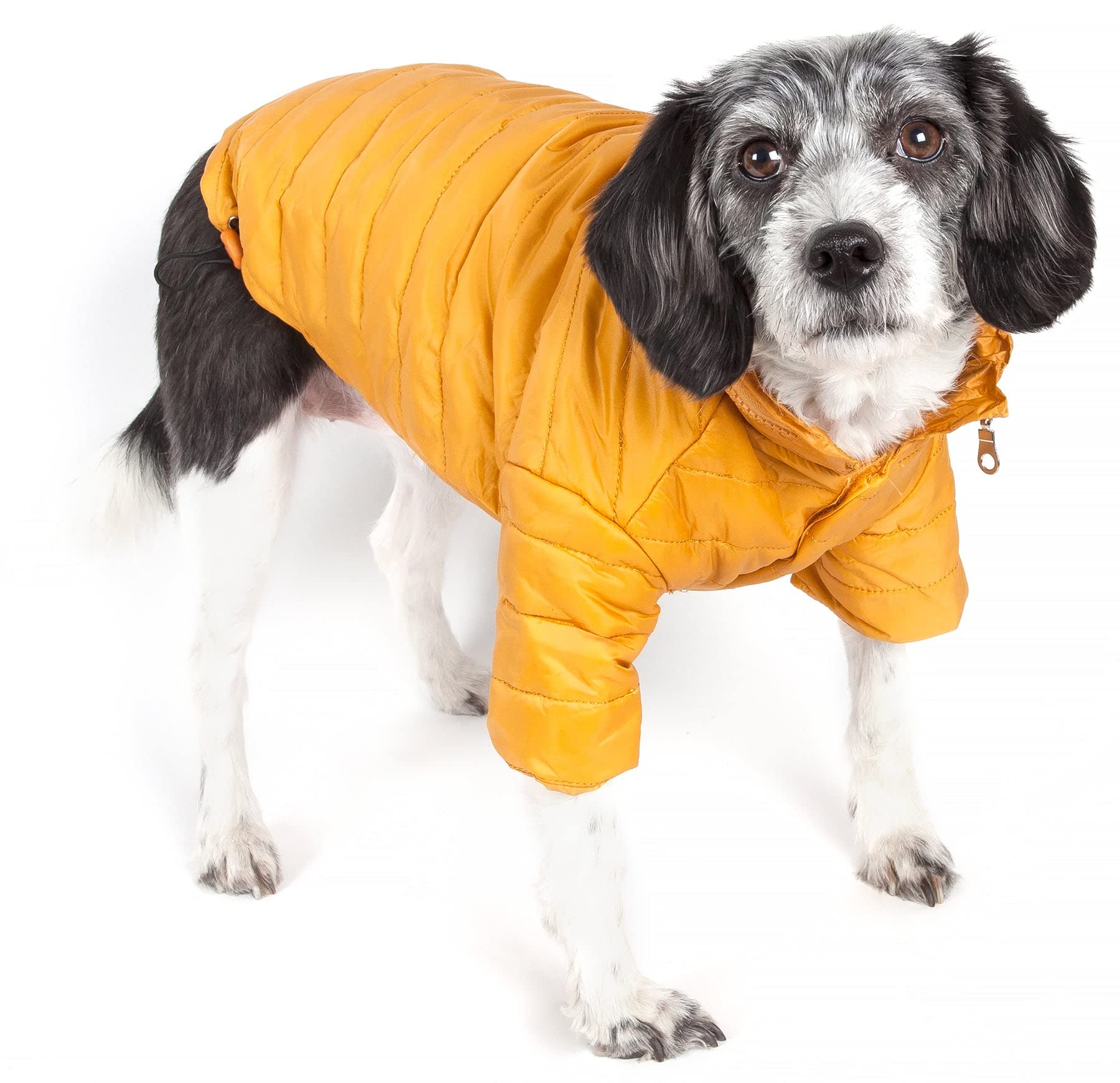 Pet Life Sporty Avalanche Lightweight Folding Winter Dog Coat - Adjustable Dog Jacket with a Concealed Zippered Collar and pop-O