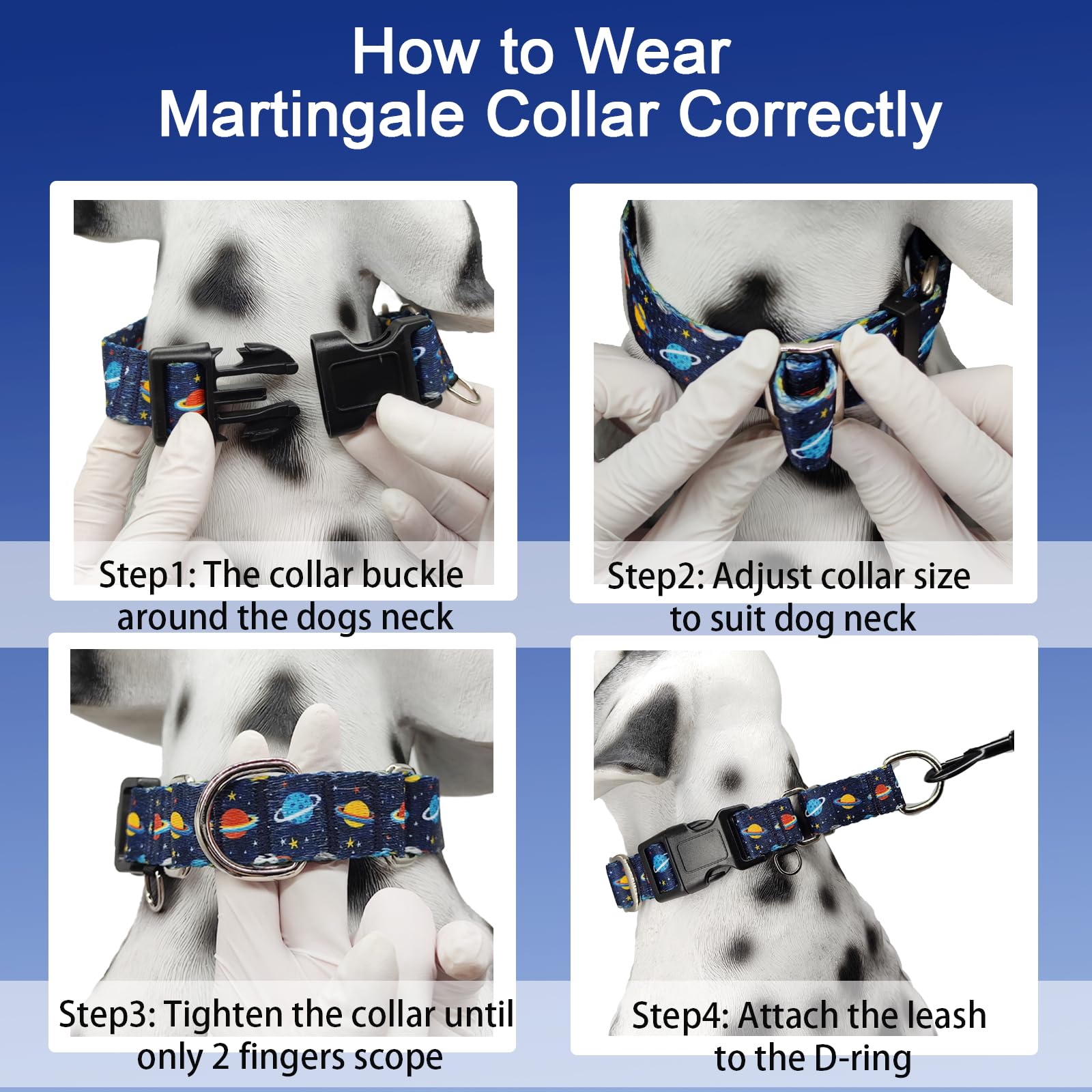 Fidohug Martingale Dog Collars With Buckle No Slip Training Boy Dog Collar For Large Dogs (Blue Space, Large)