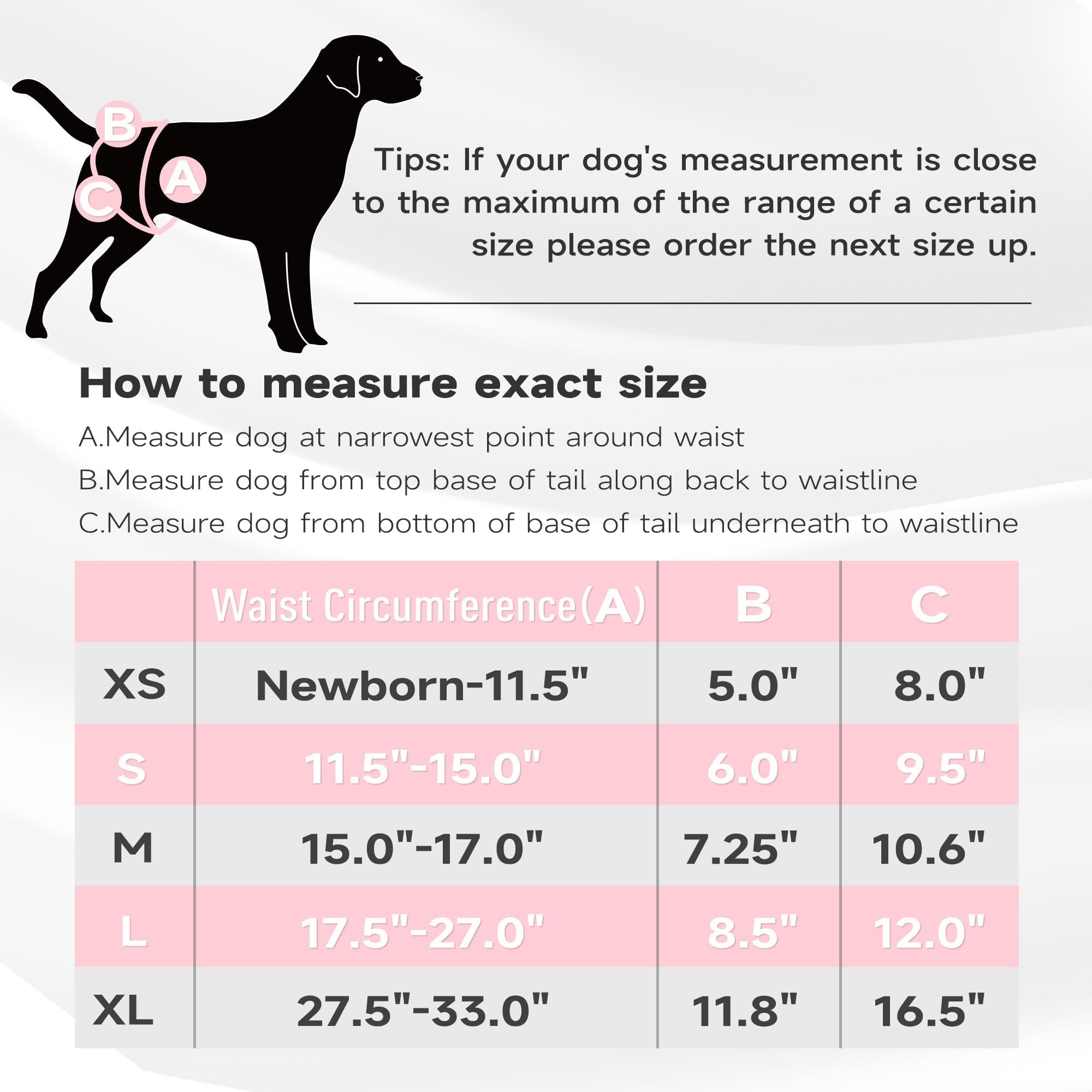 Paw Legend Washable Reusable Female Dog Diapers - No Leak Doggie Diapers For Heat Cycle (3 Pack, Flower, X-Large)