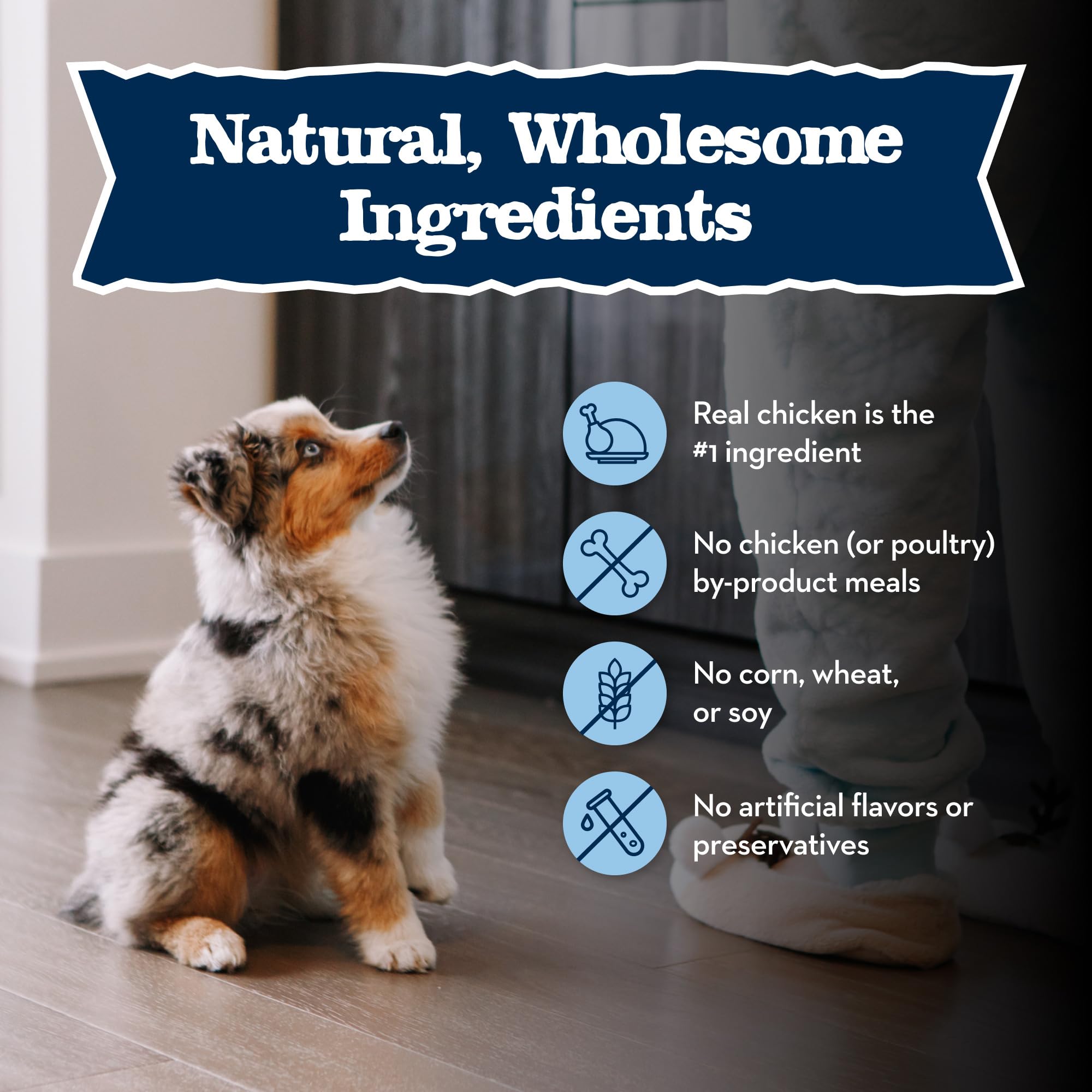 Blue Buffalo Baby BLUE Natural Puppy Wet Dog Food, Healthy Growth Formula with DHA, Chicken and Vegetable Recipe, 12.5-oz. Cans