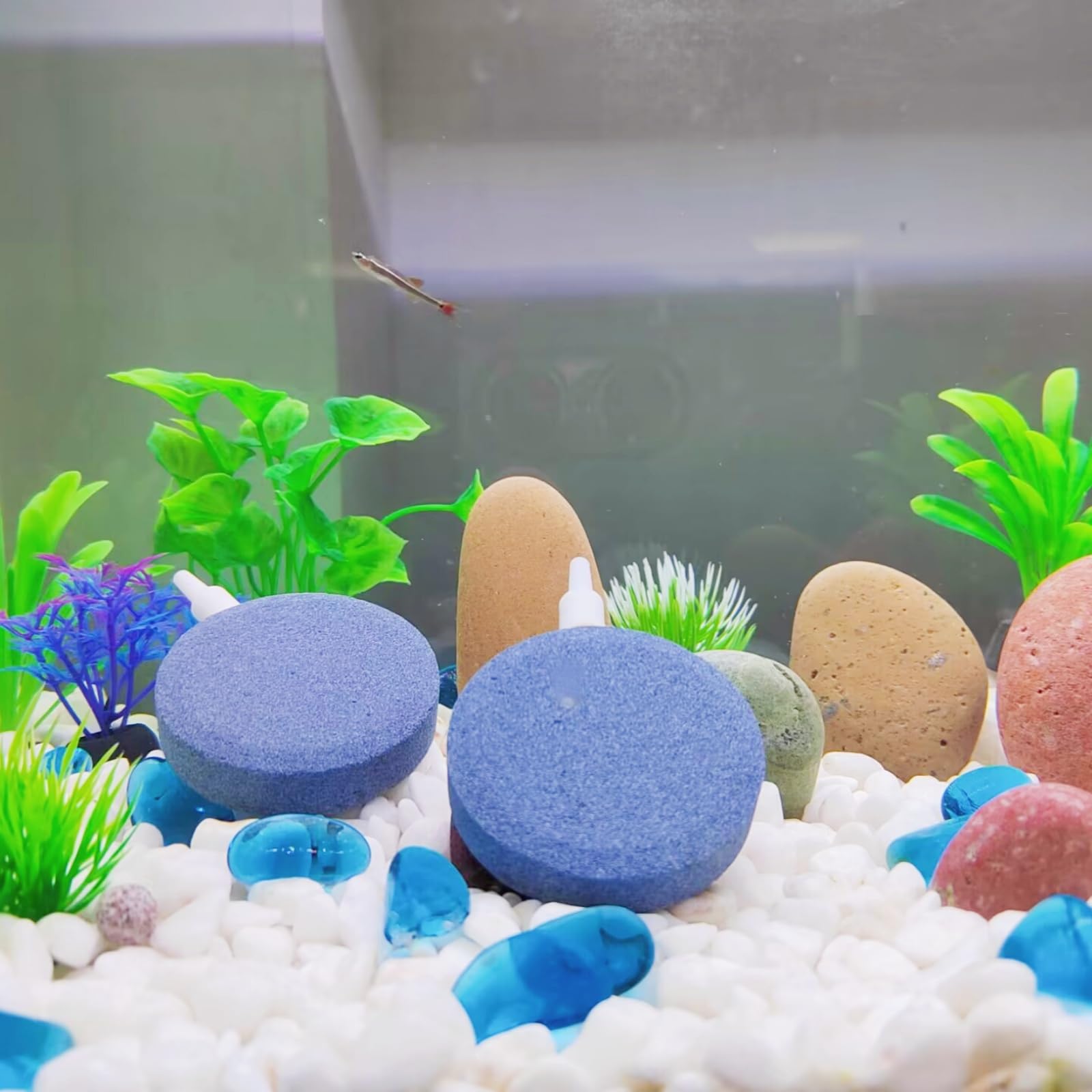 Aquaneat 1.5 Inch Air Stone Disc, 4 Packs, Aerator Bubble Diffuser, Air Pump Accessories For Hydroponics, Aquarium Fish Tank, Po