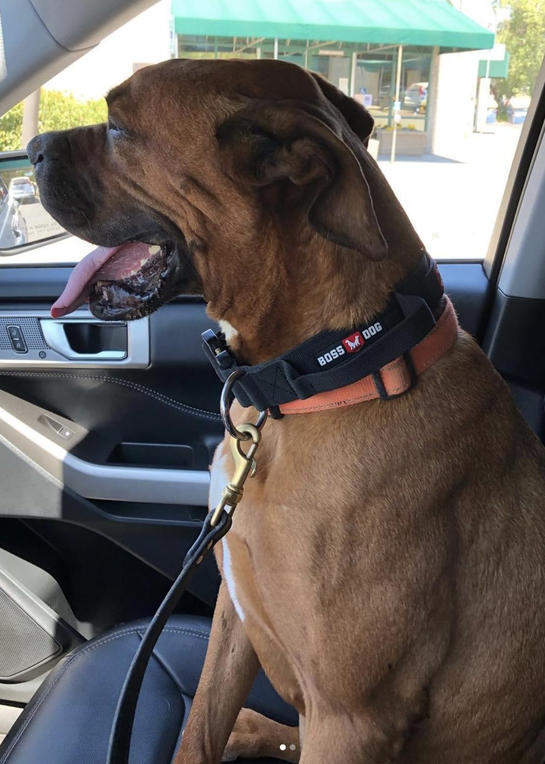 Boss Dog Tactical Collar, Black, X-Large