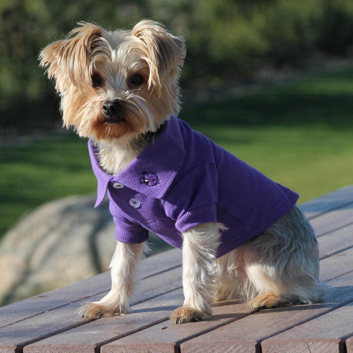 Doggie Design Solid Dog Polo Shirt (Ultra Violet, L)