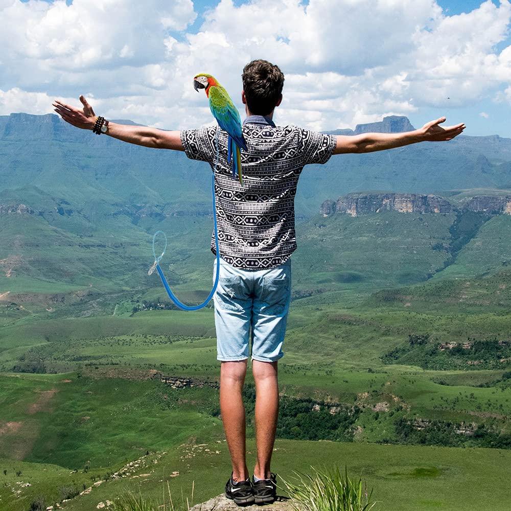 Parrot Bird Harness Leash Anti-Bite Outdoor Blue Flying Training Rope With 5Pcs Different Sizes Of Soft Foot Loops And Training Whistle(Upgraded Version Of Ankle Ring)