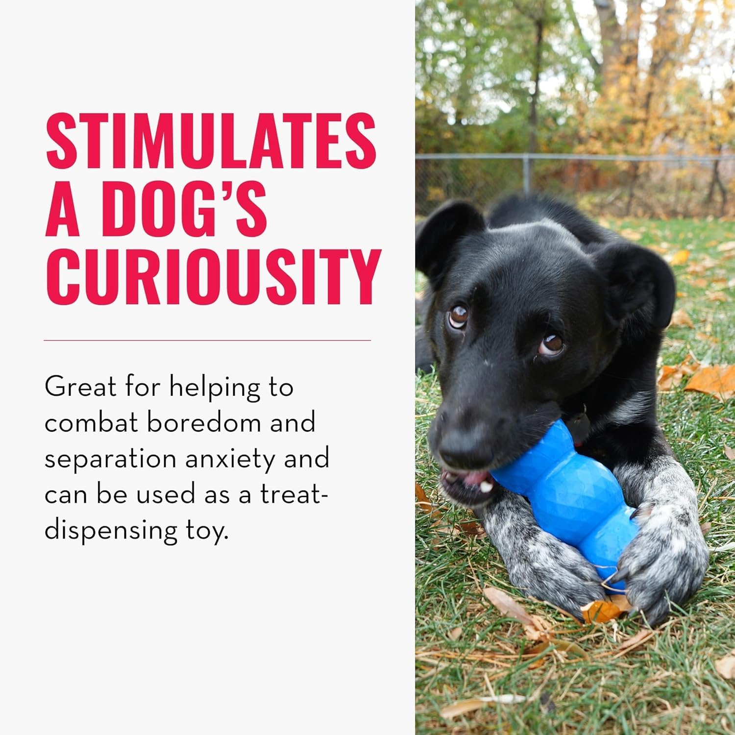 KONG - Genius Mike - Interactive Treat Dispensing Dog Puzzle Toy (Assorted Colors) (Small)