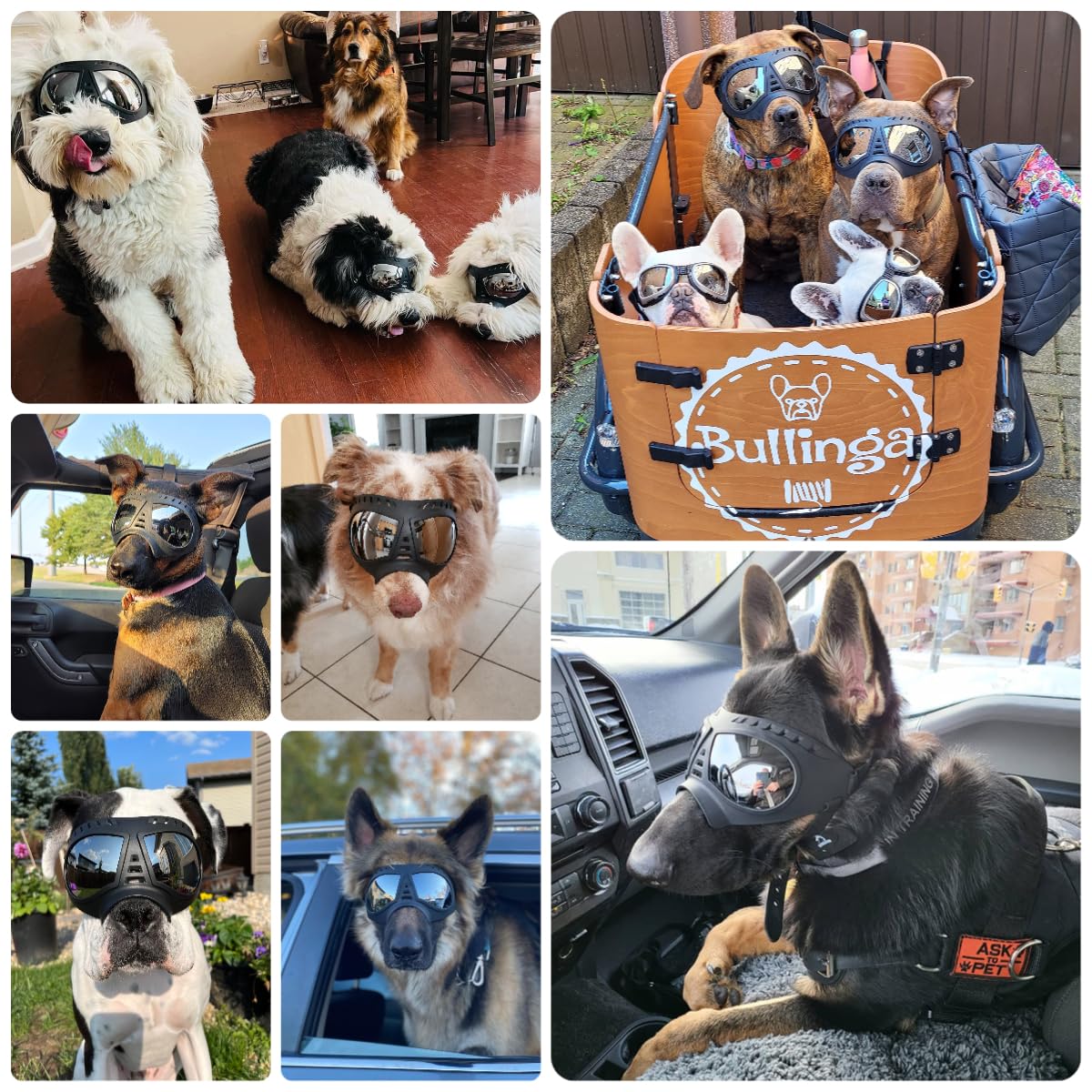 Billionchains Dog Goggles Windproof For Medium-Large Breeds Dog Sunglasses Anti-Uv With Adjustable Straps - Black