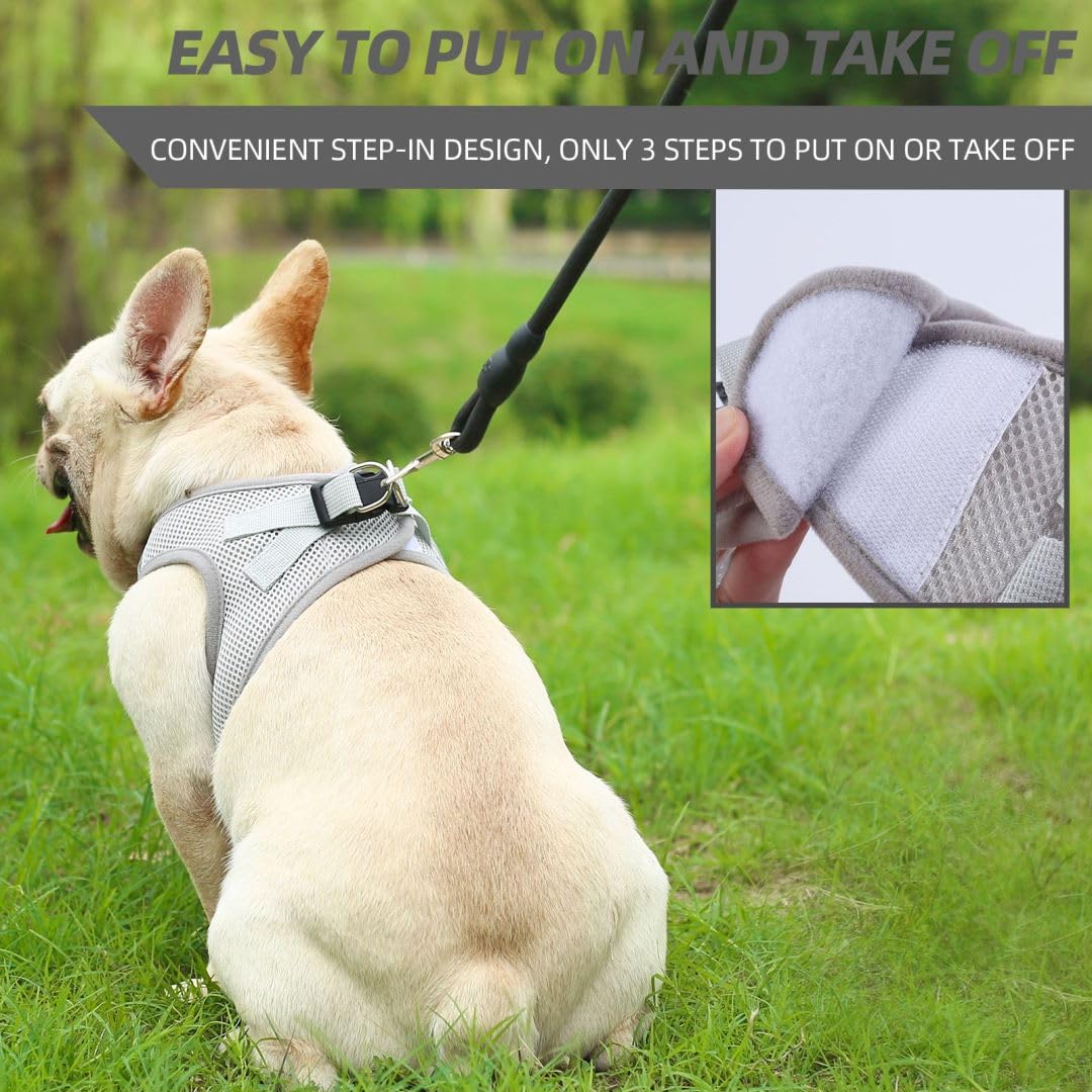 Pina Dog Harness For Small Dogs No Pull, Small Dog Harness And Leash Set, No Choke Breathable Mesh Dog Vest Harness, Lightweight