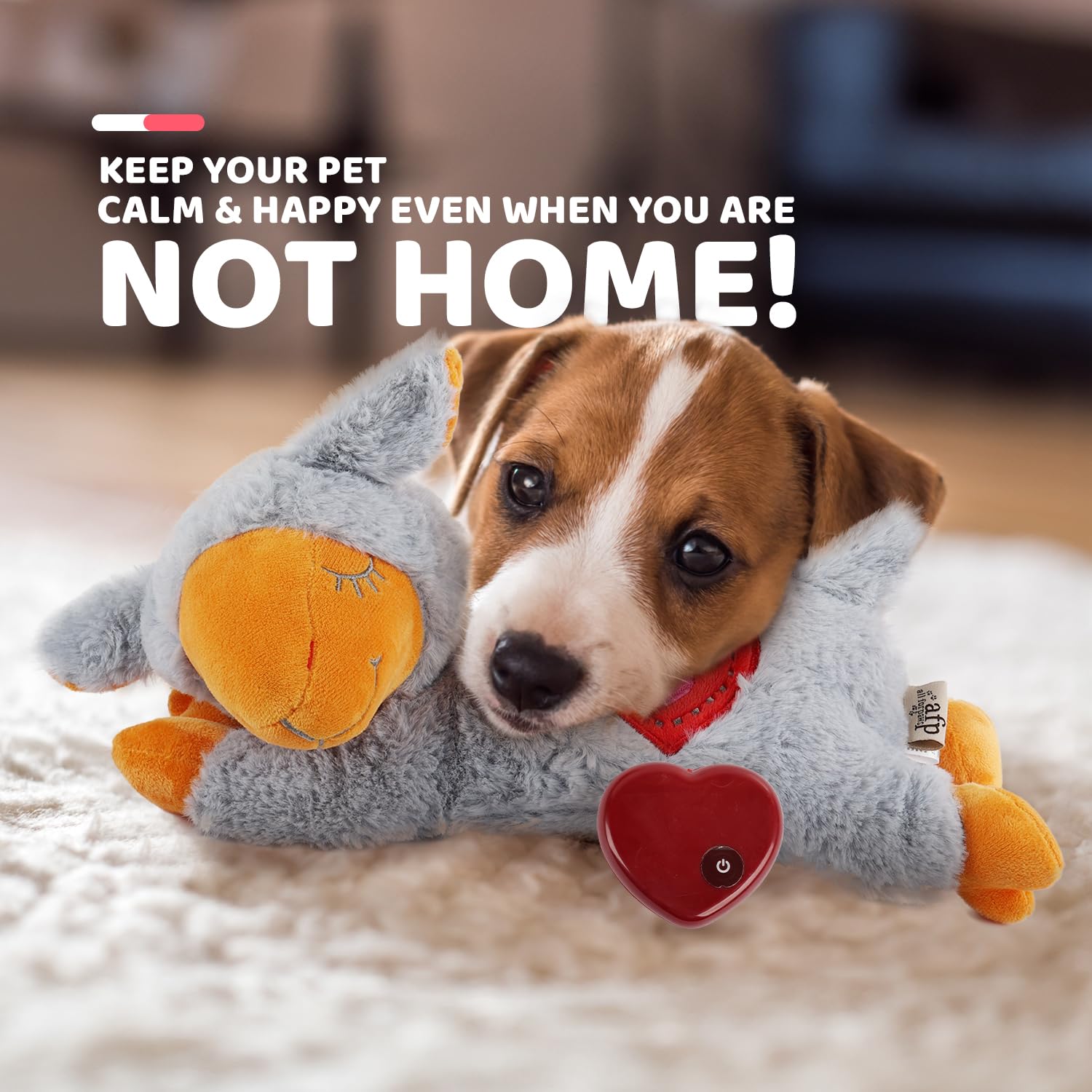 ALL FOR PAWS Heart Beat Dog Toy, Puppy Sleeping Buddy Cuddle Toy Dog Soothing Plush Toy, Crate Training Puppy Stuffed Animal Gif