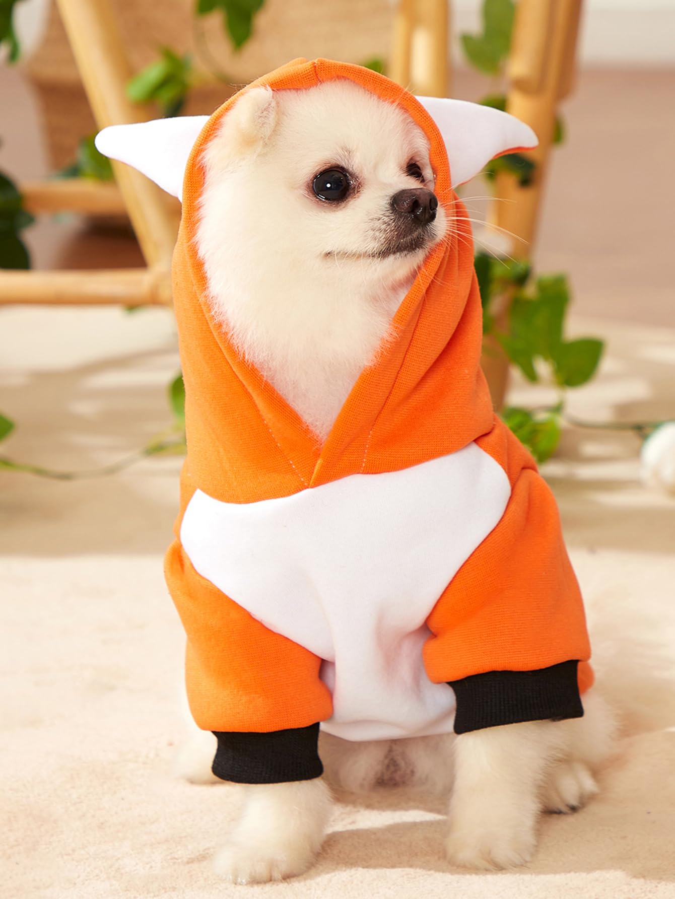 Qwinee Dog Hoodies Fox Design Cat Dog Clothes Warm Winter Puppy Clothes Chihuahua Outfit Pet Hoodie For Small Medium Dogs Cats K